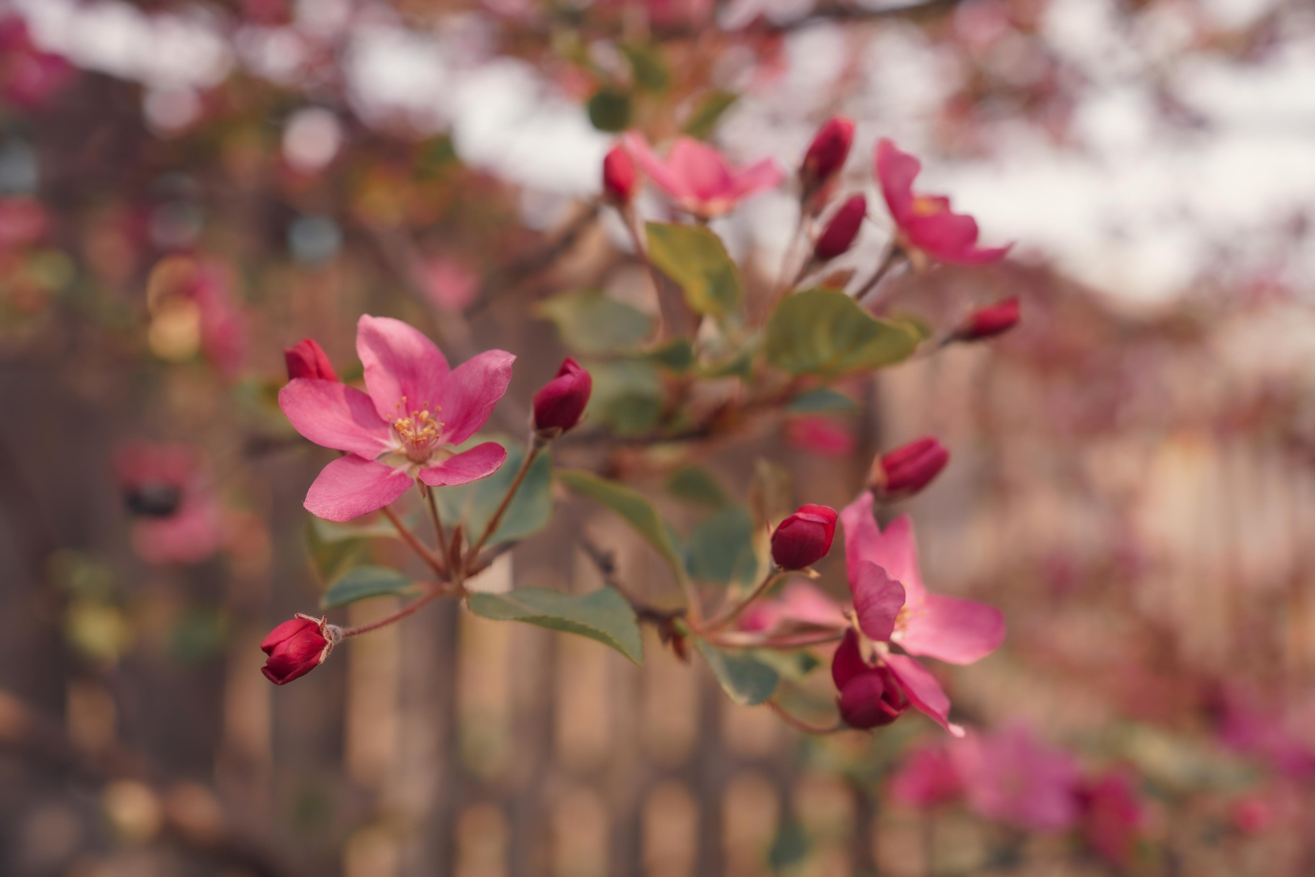 Весенние фотосессии в Мариинске в русском стиле. Портретный фотограф в Москве, Московской области. Деловой портрет