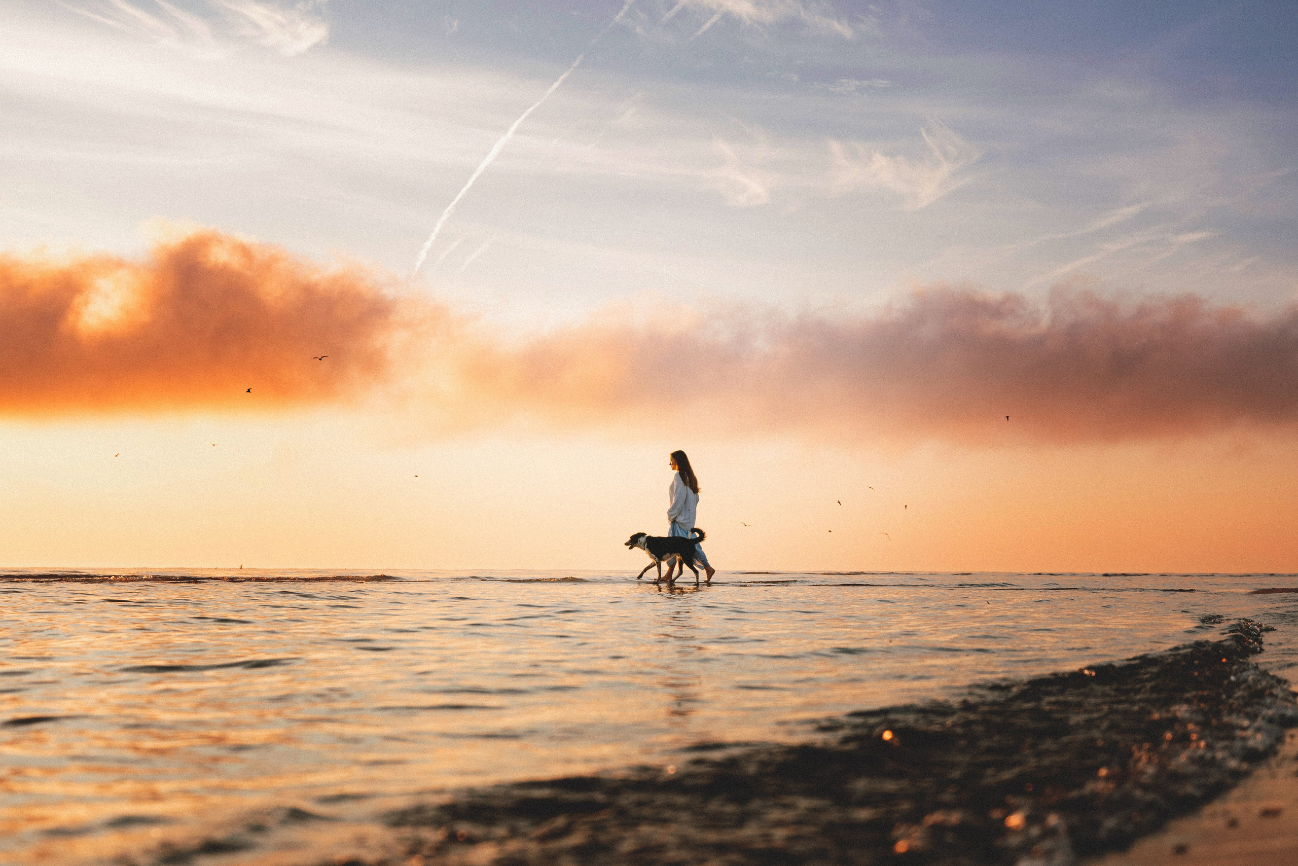 Фотограф анималист Осипчикова Мария