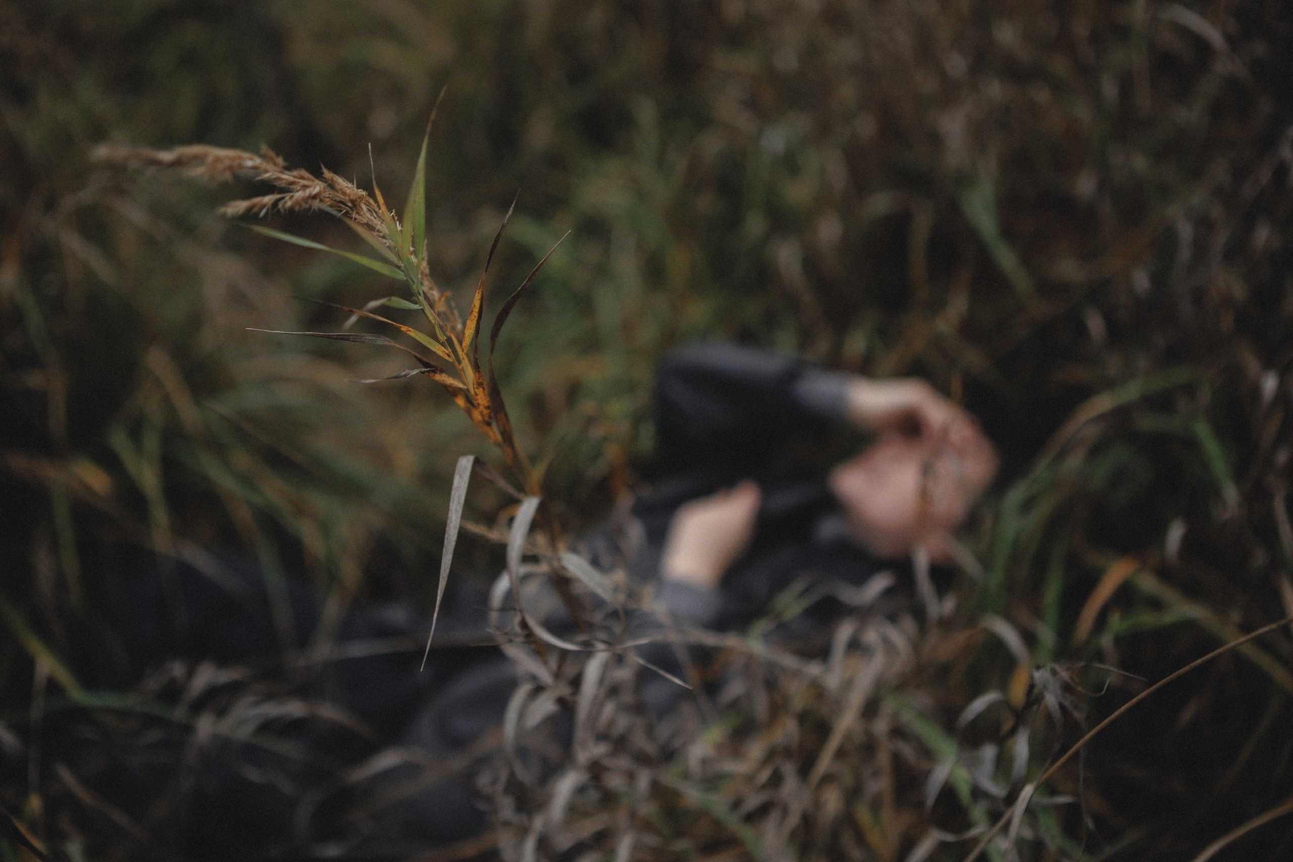 Анастасия. Фотограф Москва и Московская область