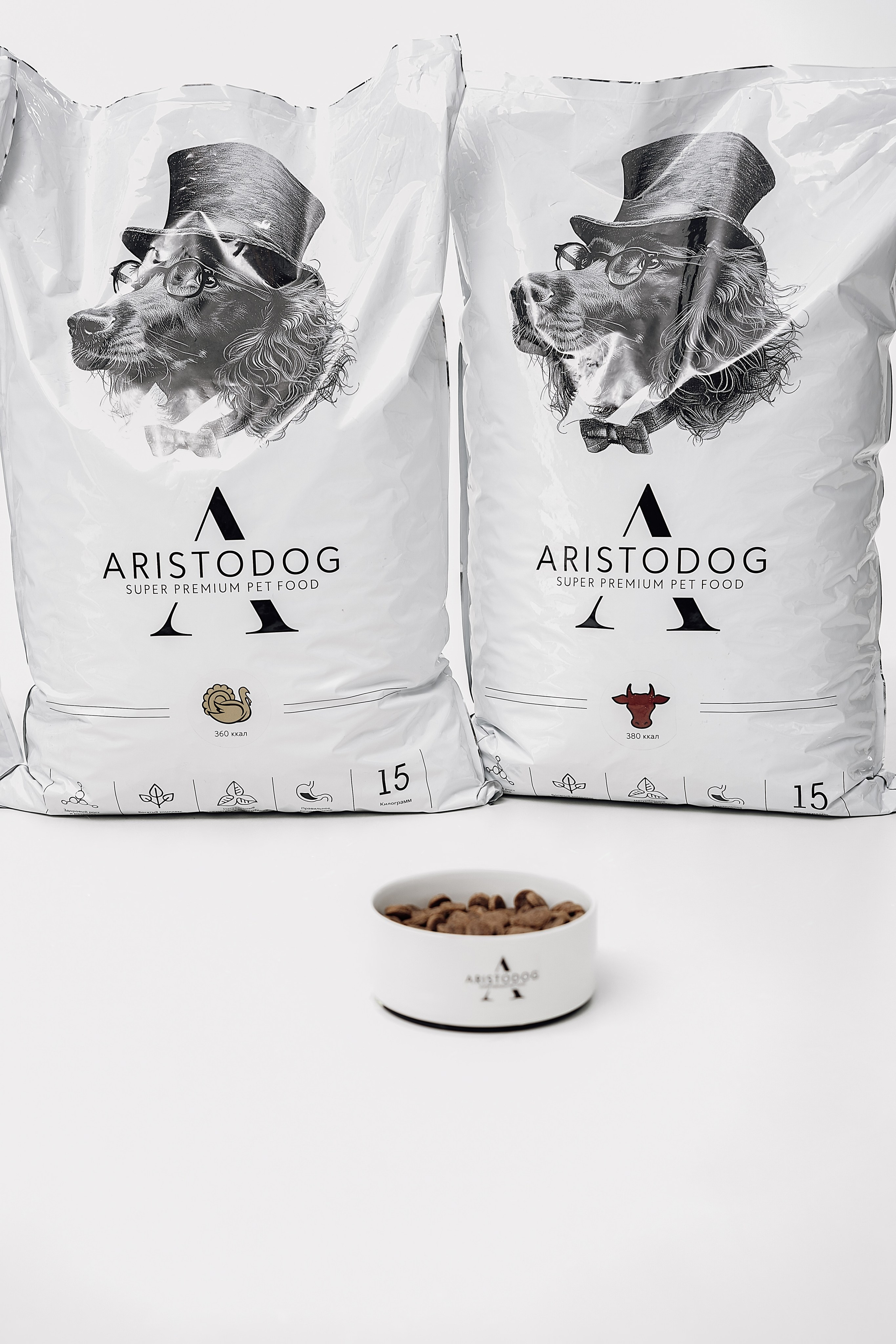 ARISTODOG. Фотограф и видеограф Анна Жагорина