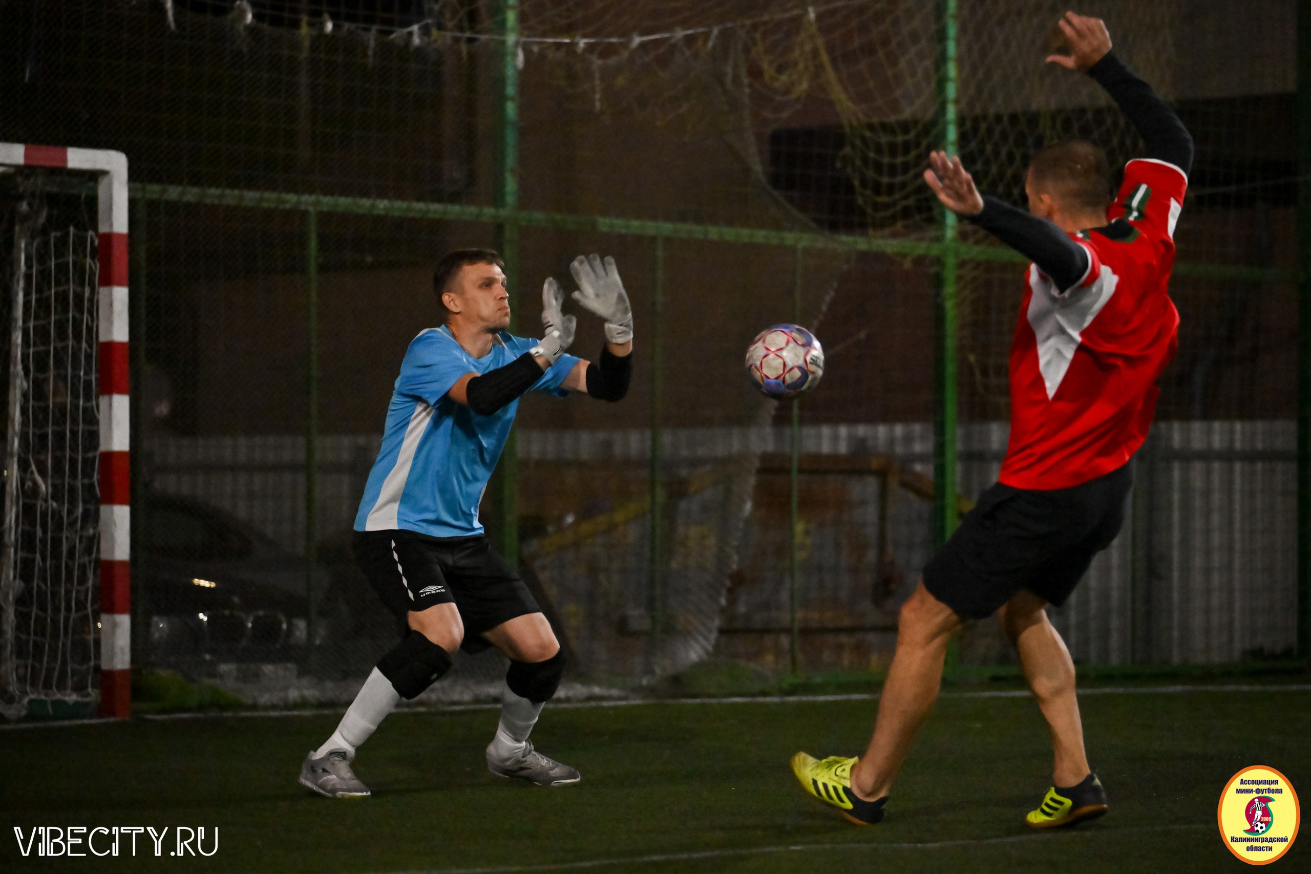 КУБОК ДРУЖБЫ. VIBECITY.RU Вайб Сити Ру Фоторепортажи Фотоотчеты Калининград