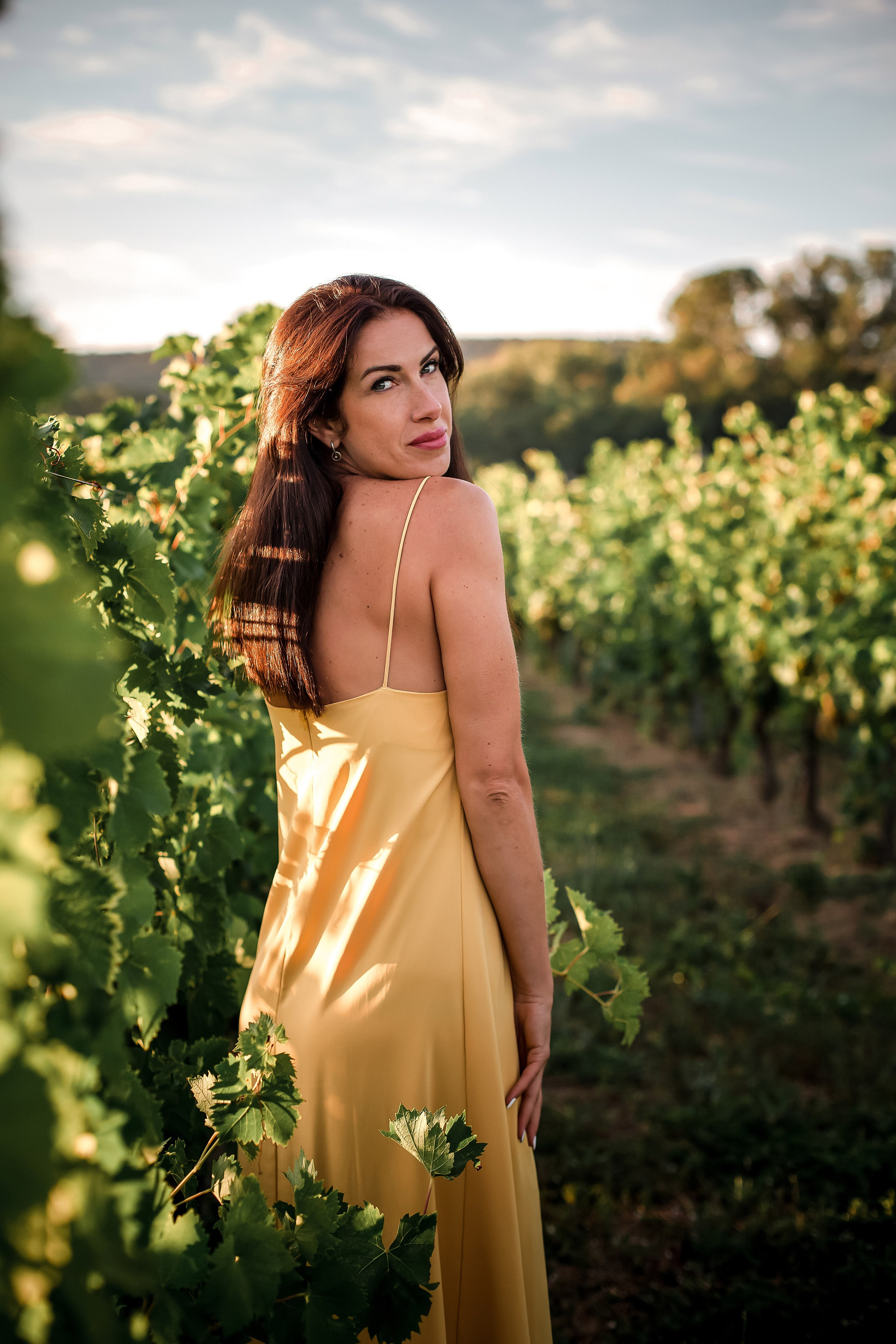 Уиппеты в виноградниках. Фотограф-анималист в Краснодаре Маша Мельникова