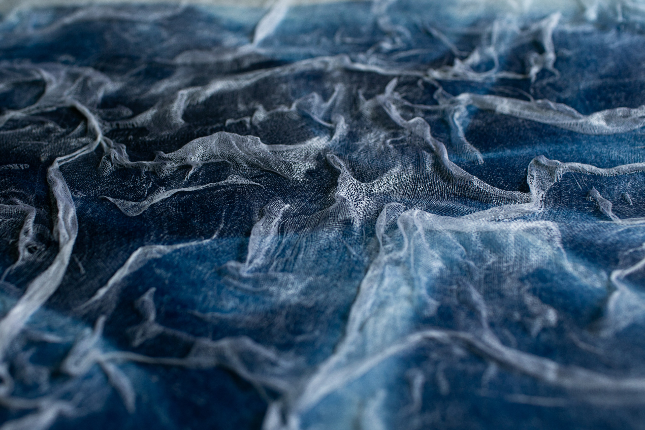 CYANOTYPE. CONTEMPORARY ARTIST OLGA ANDRIYASH