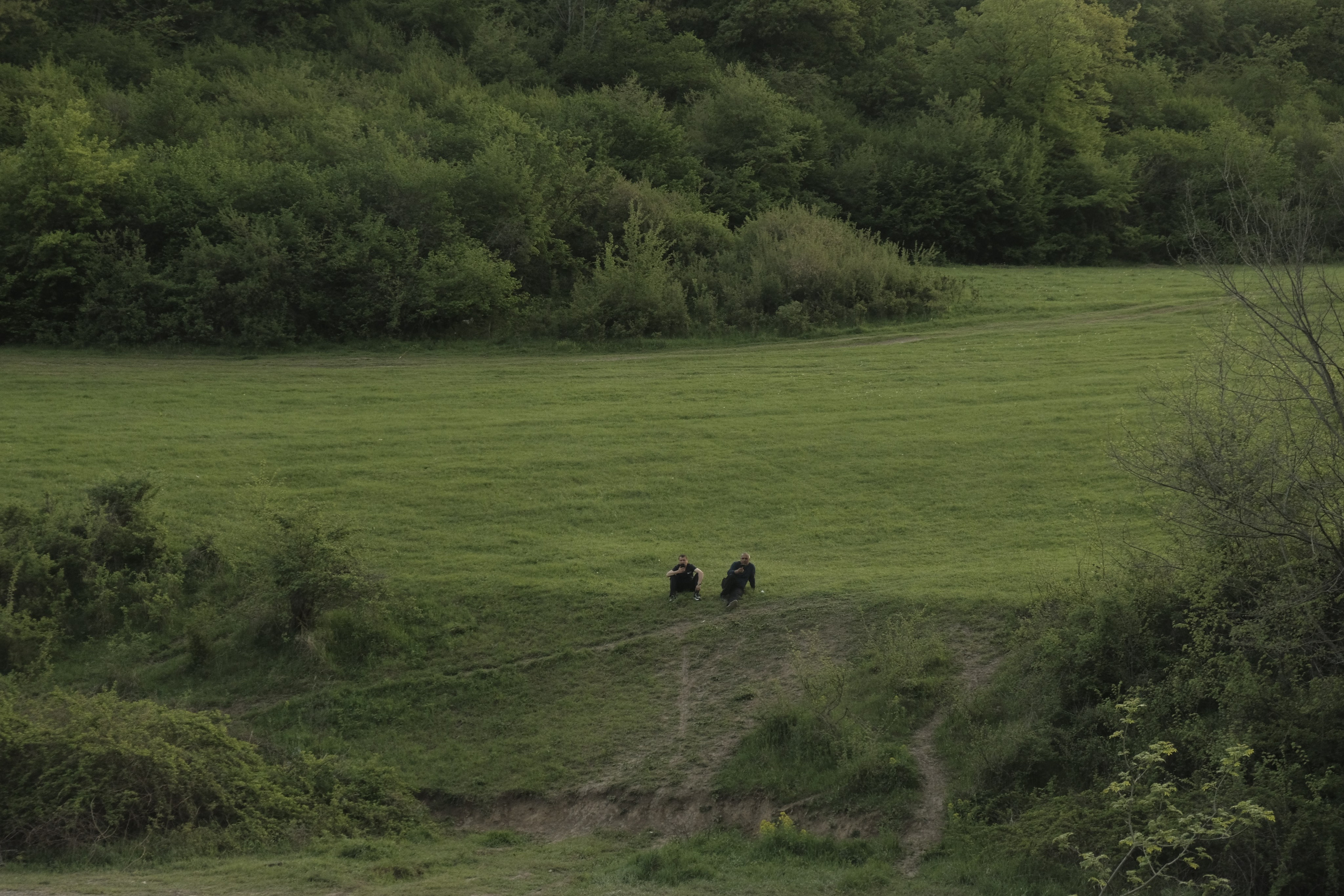 Delimitation. Kirillov Egor