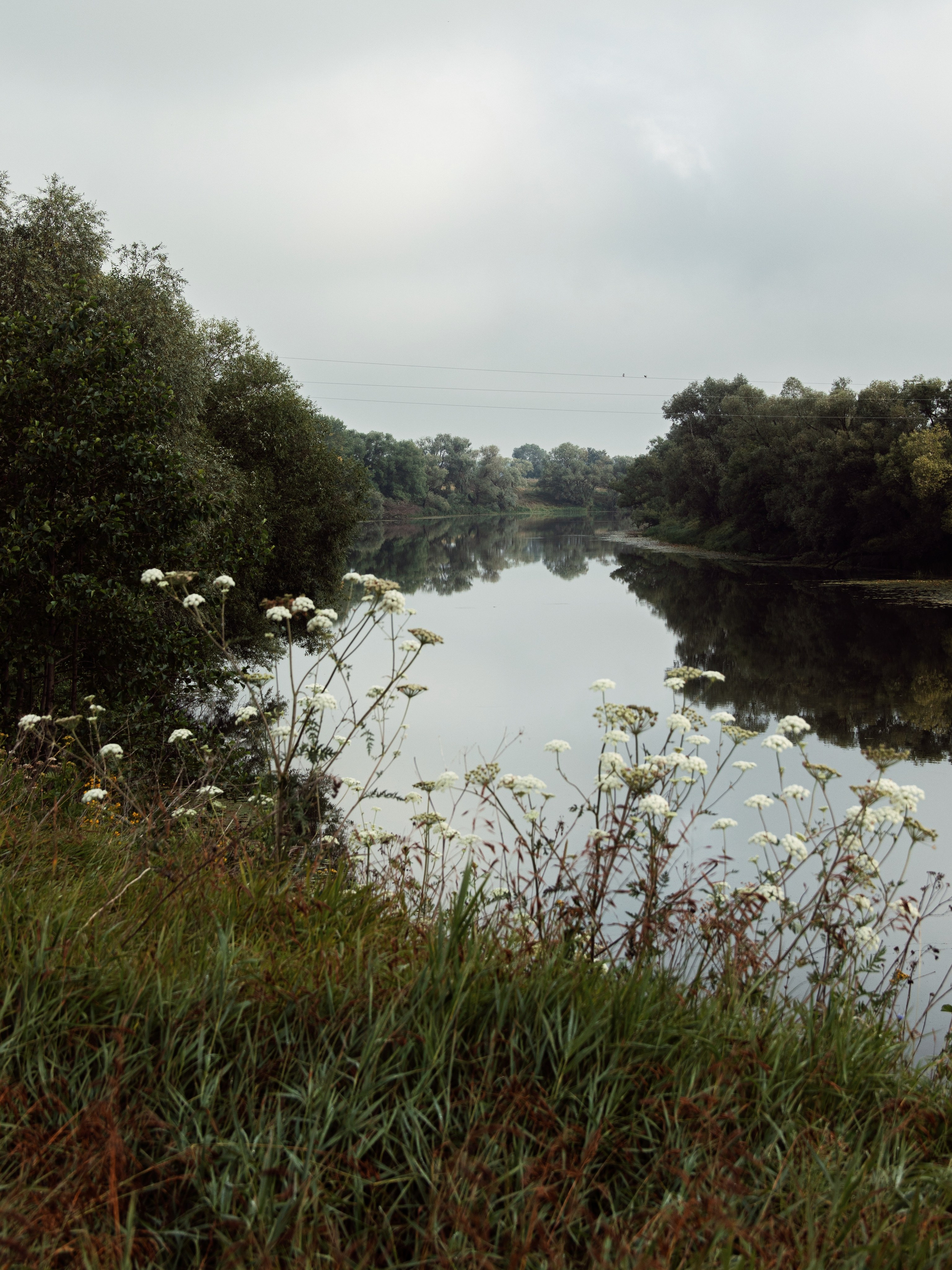 Застывшая утренняя тишина. С любовью, фотохудожник