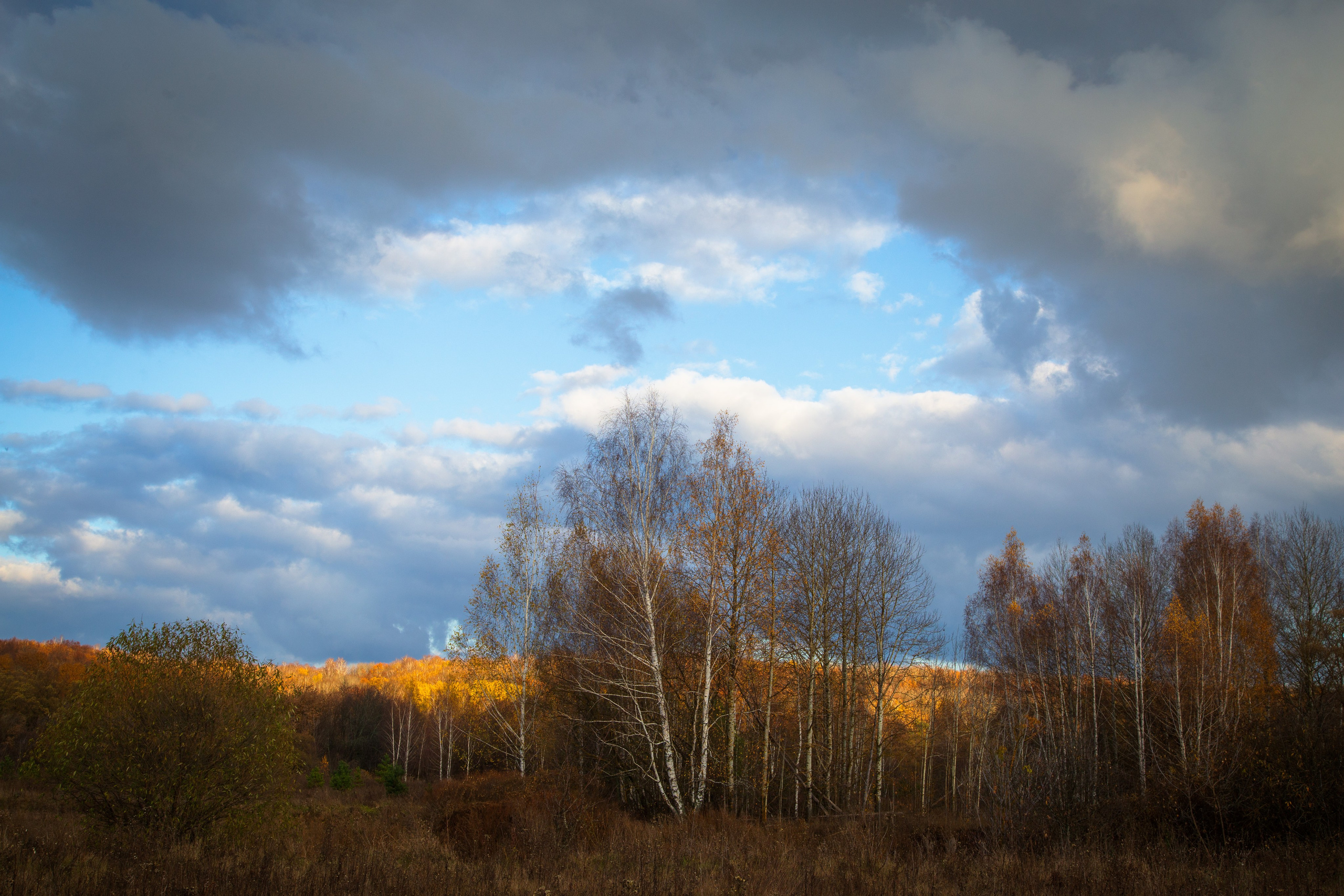 ТВОРЧЕСТВО. Творческая студия АЛНИфото