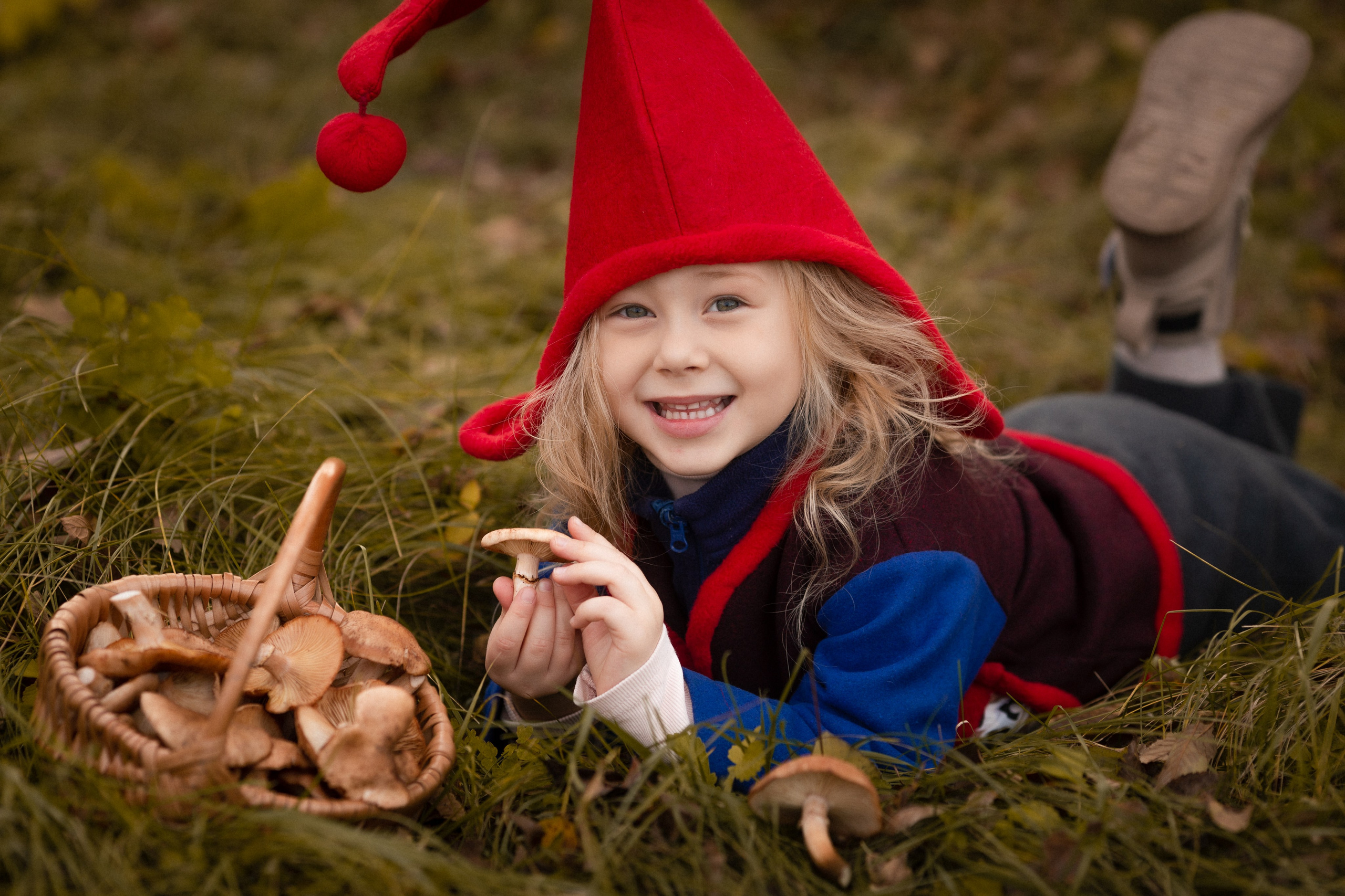 Лесные гномы