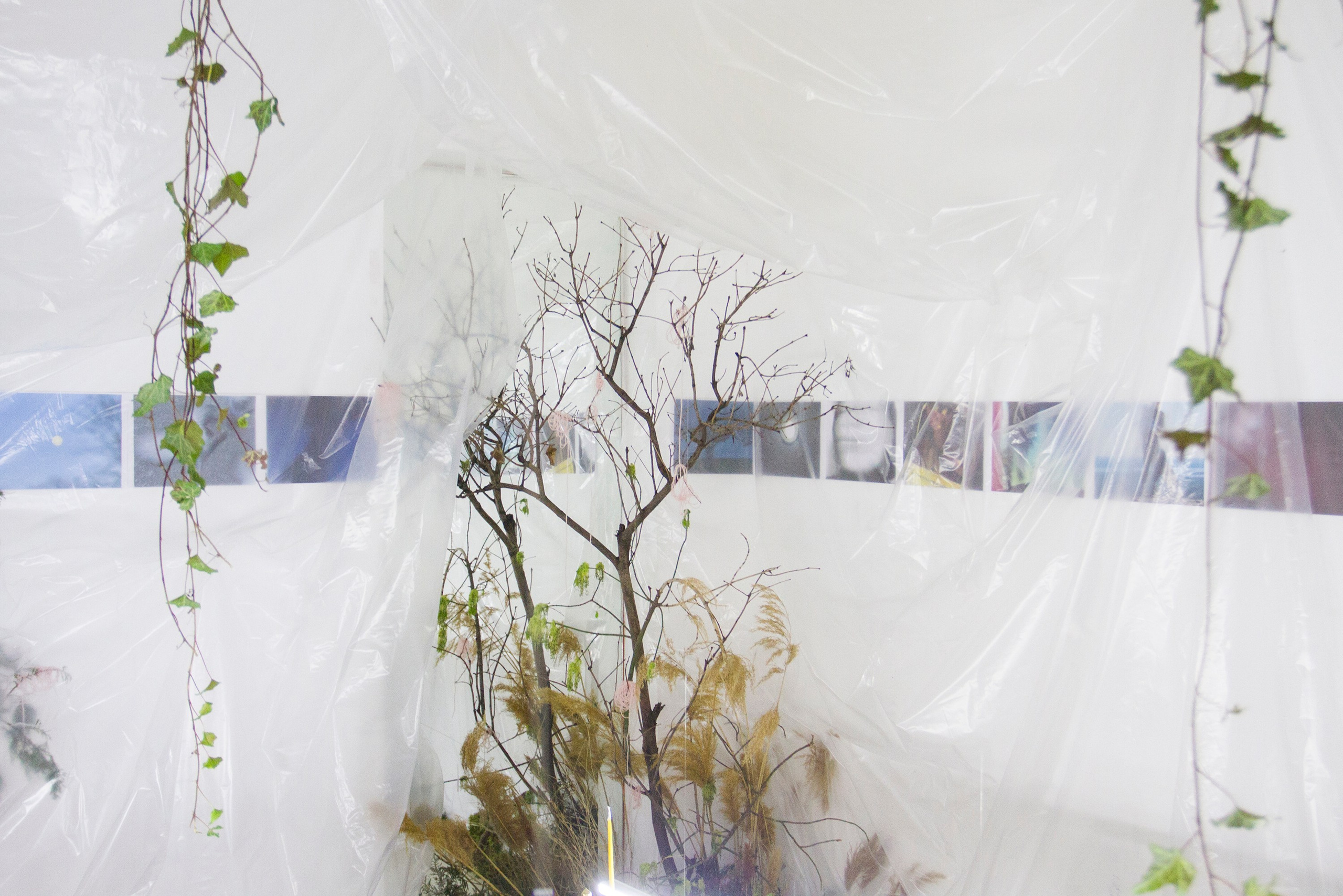 2024, The exhibition «How Do You Smell?». KST