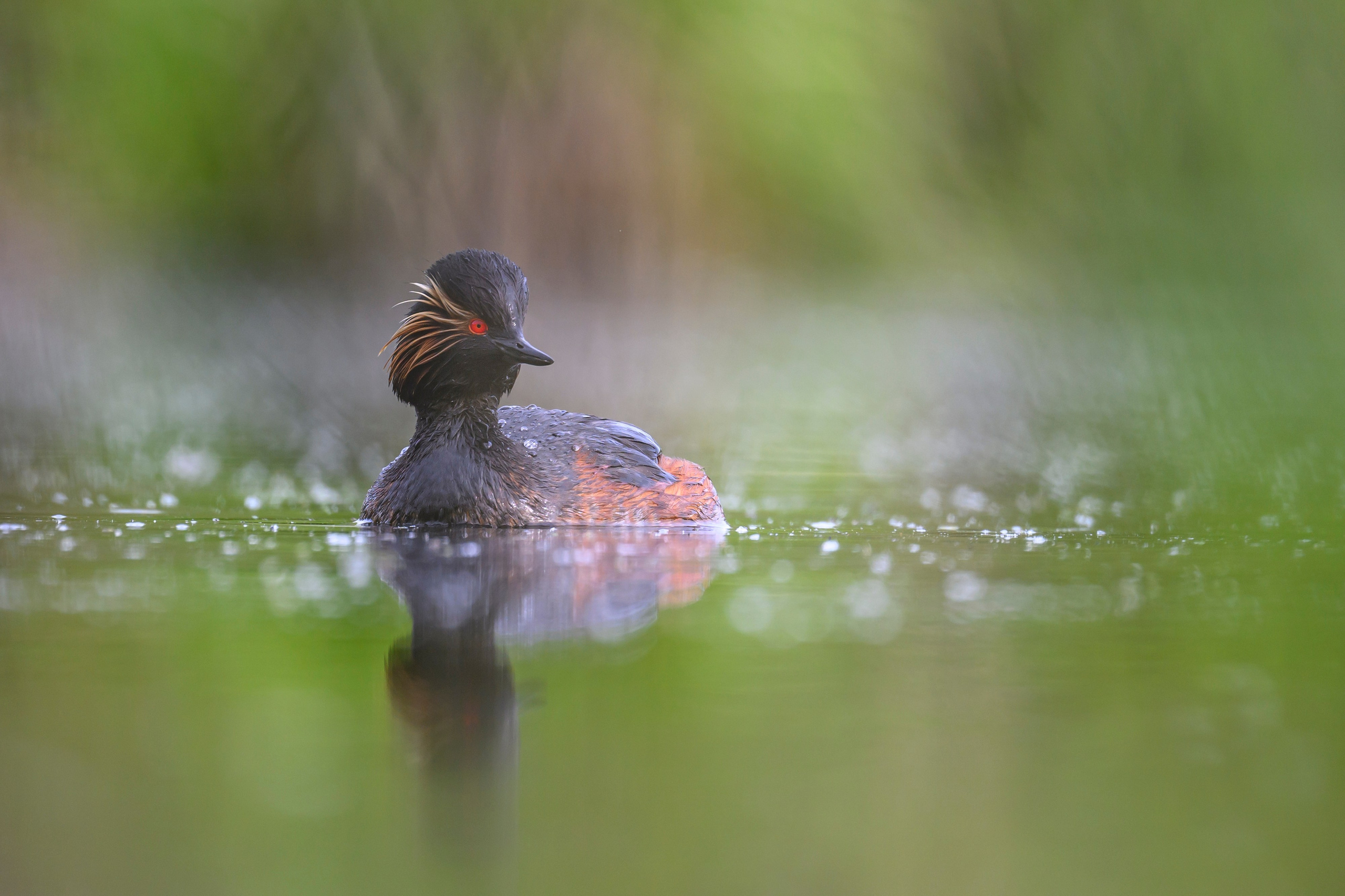 Мягкий свет. Фотограф Сергей Пупонин