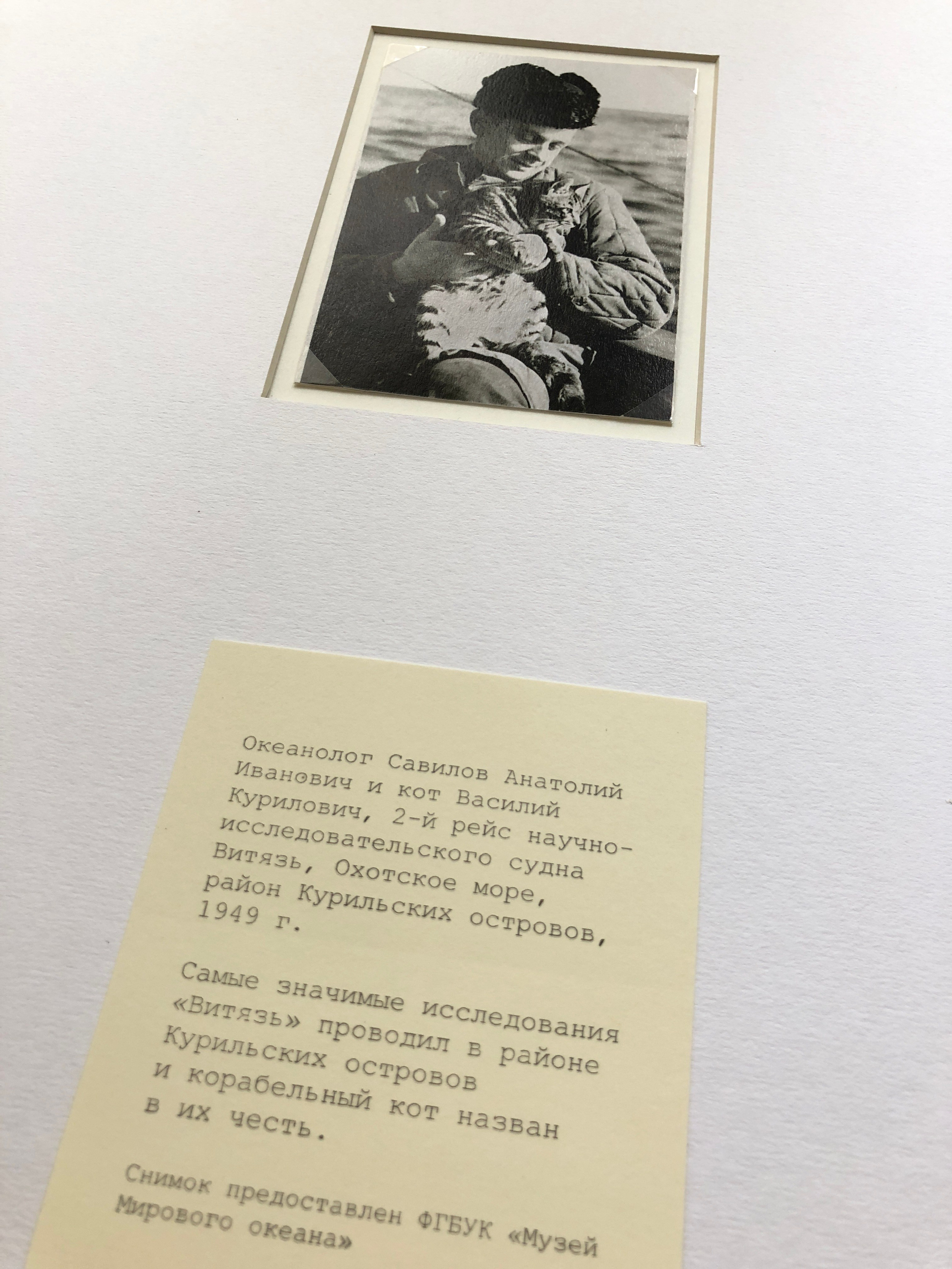 ◽ Соленый альбом. Елена Аносова — художница и исследовательница, куратор и лектор