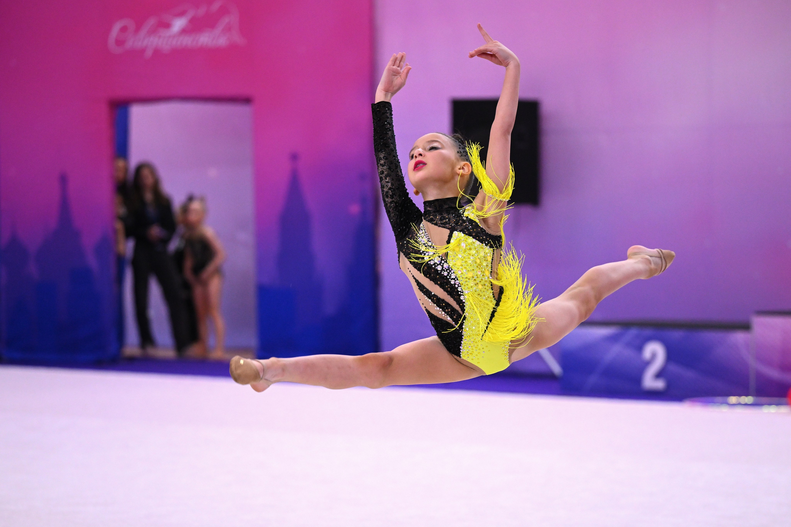 Турнир по художественной гимнастике СОВЕРШЕНСТВО МОСКВА ДИНАМО. ФОТОВИДЕОСПОРТ. Фото видео услуги на соревнованиях по художественной гимнастике. Видеотрансляция соревнований. Москва, ЦФО, ПФО