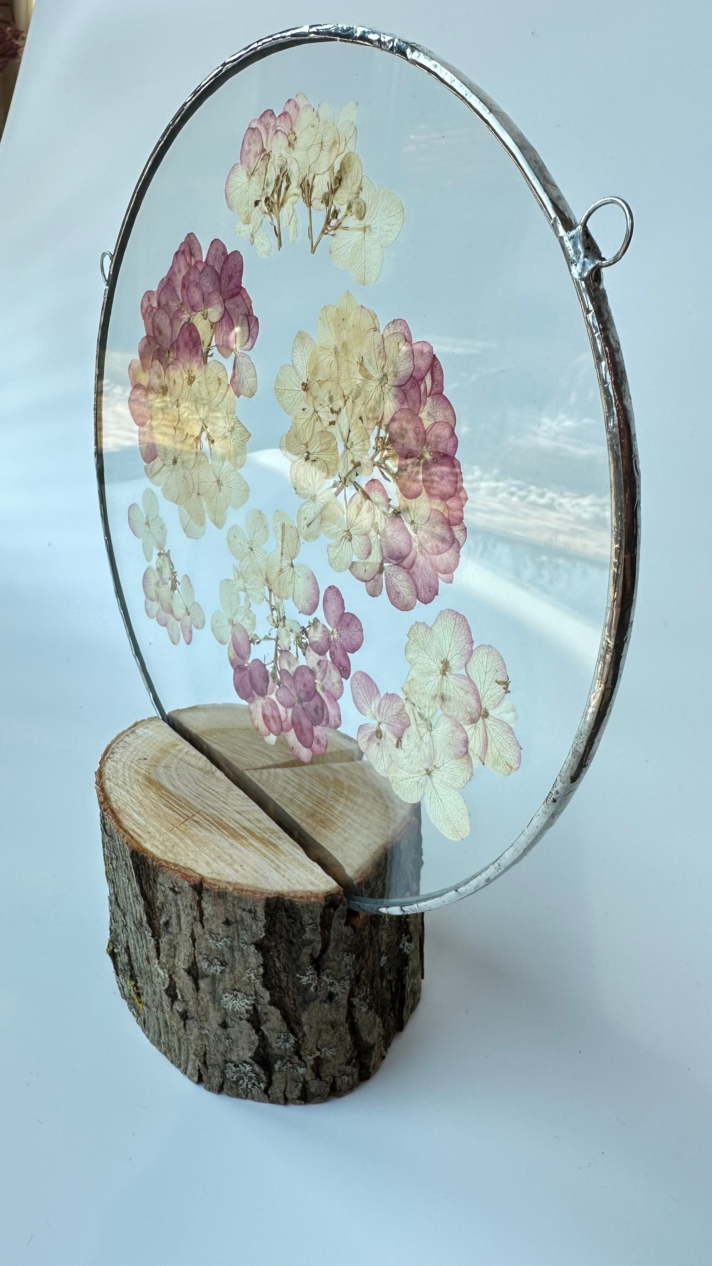 Гортензия круг 20 см. Оформляю пространства. Витражи с сухоцветами в технике Тиффани