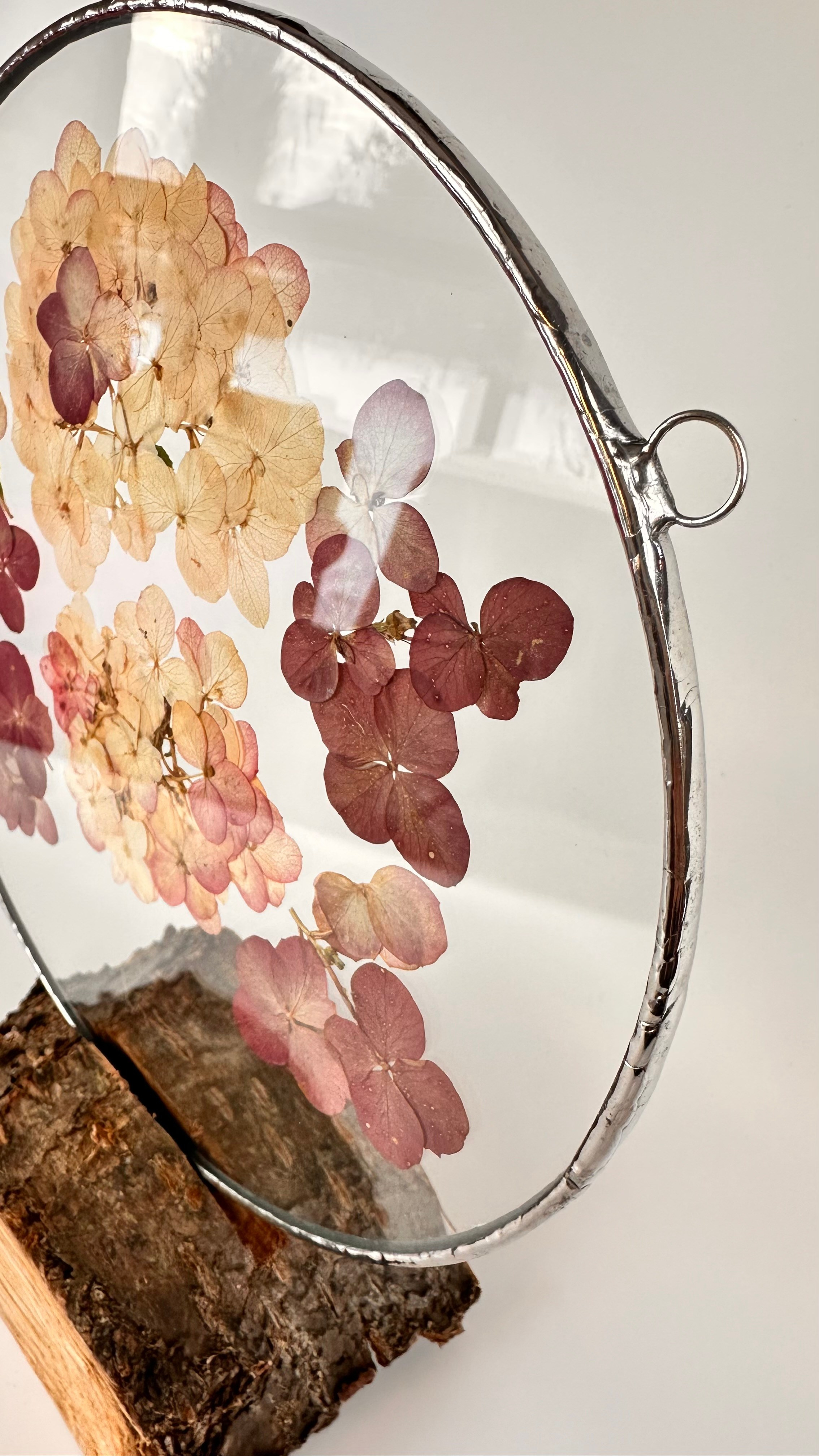 Гортензия круг 20 см. Оформляю пространства. Витражи с сухоцветами в технике Тиффани