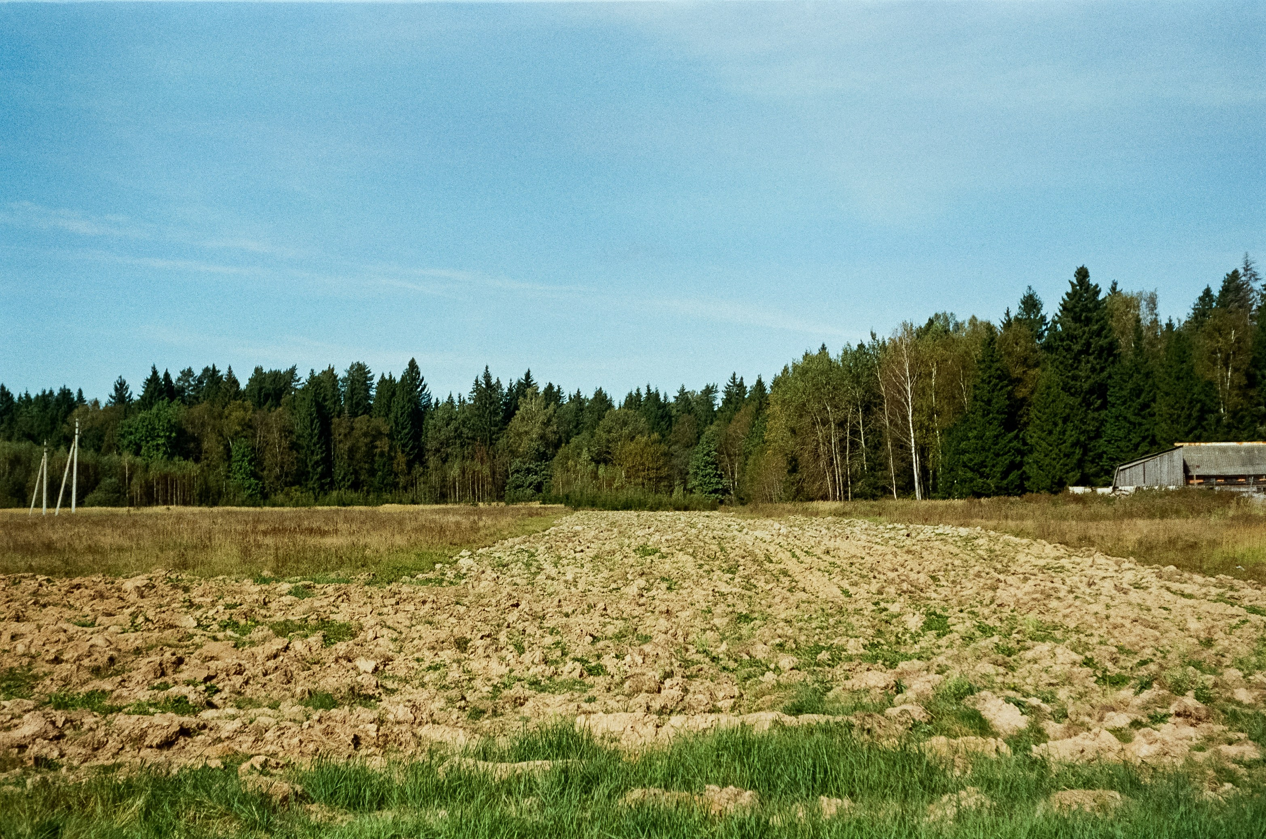 Voigtlander Vitessa / Color-Skopar 50 mm f/3.5 / Kodak Gold 100 (просрочка)