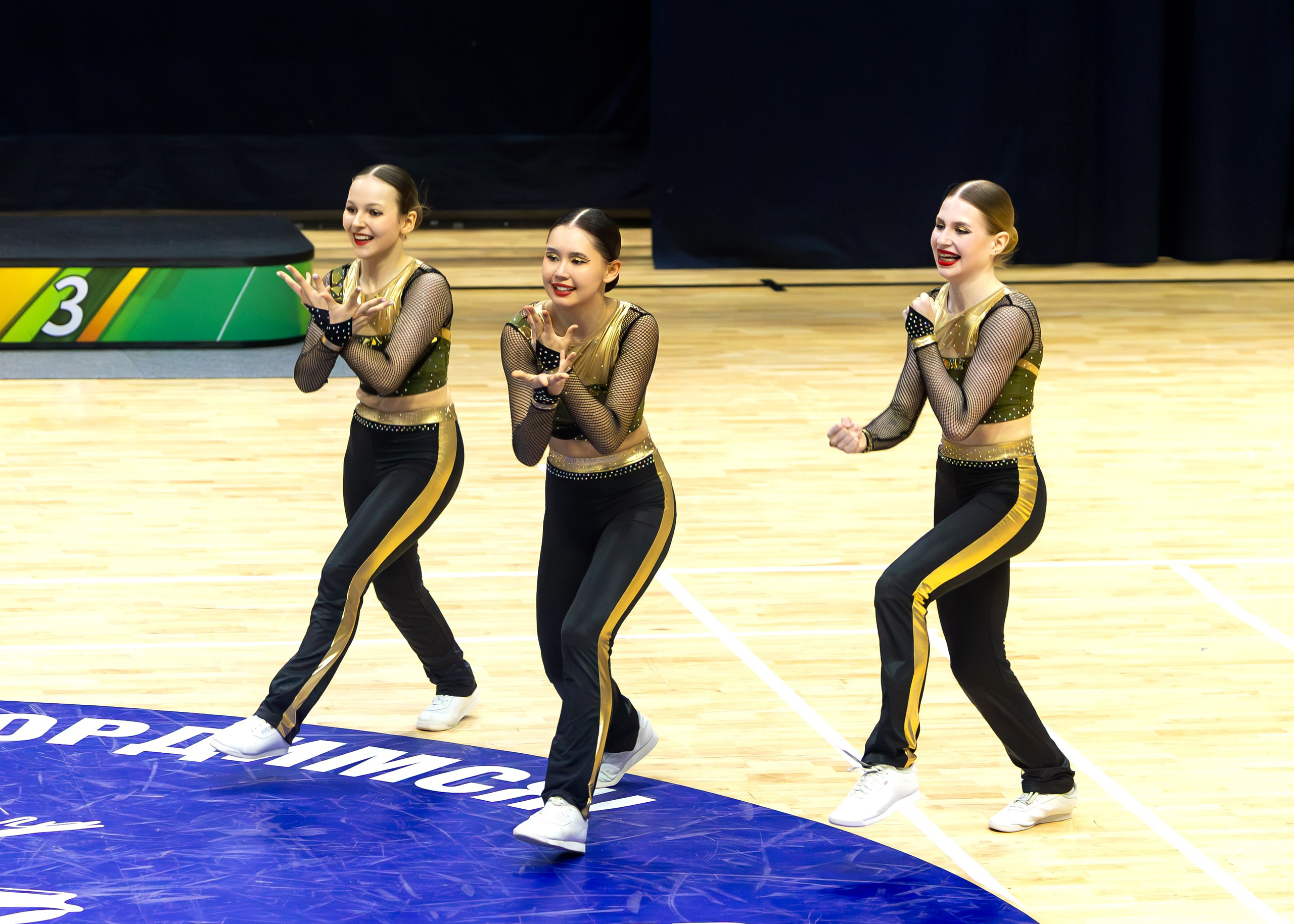 Фестиваль по фитнес-аэробике «Облачко» дисциплина «Аэробика». Выпускные альбомы и школьный фотограф в Подольске, Троицке, Щербинке, Москве и Московской области