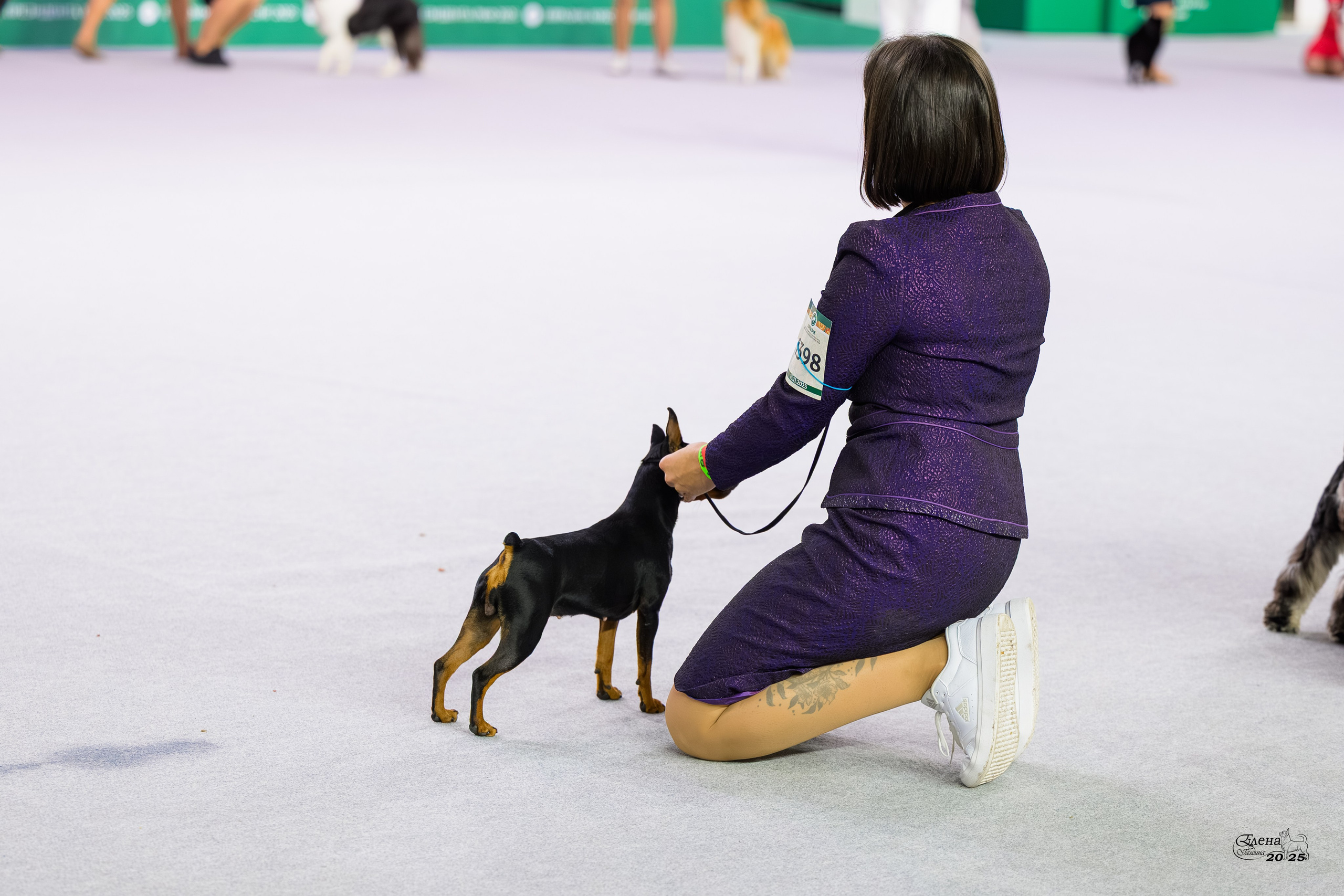 15-16.11.2025 ЕВРАЗИЯ г. Москва. Фотограф анималист Елена Галдина г. Красноярск