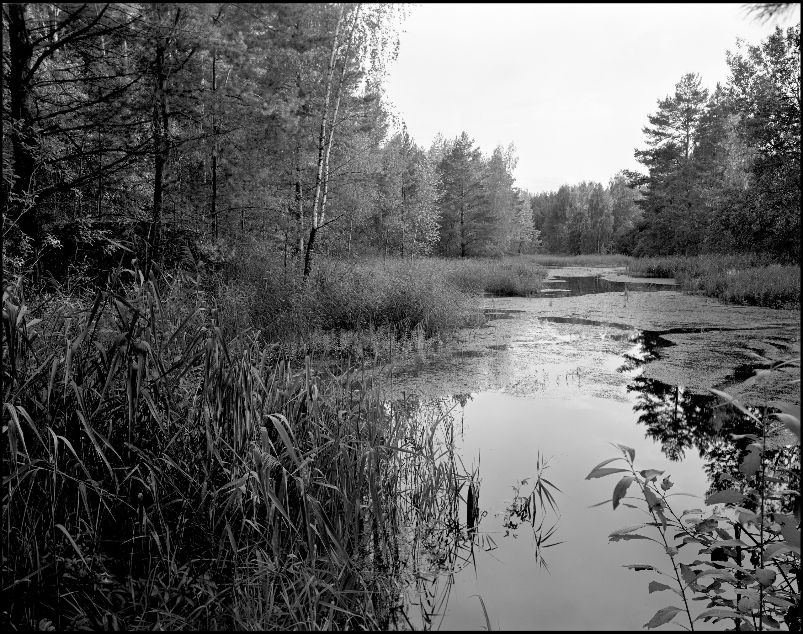 Sergey Kondriuk art-photographer | artist