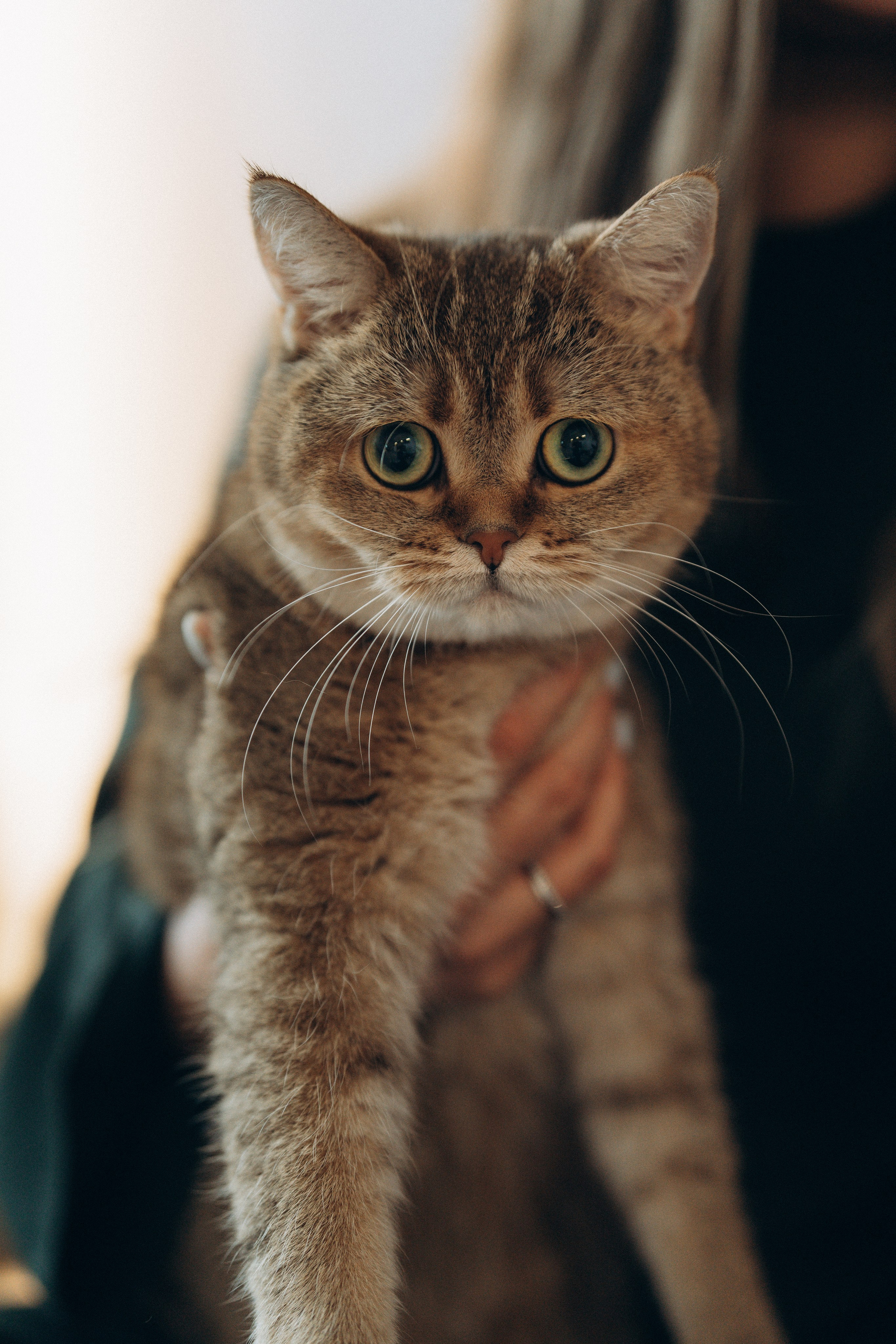 14.12.2024. Елизавета Шумик Семейный Фотограф