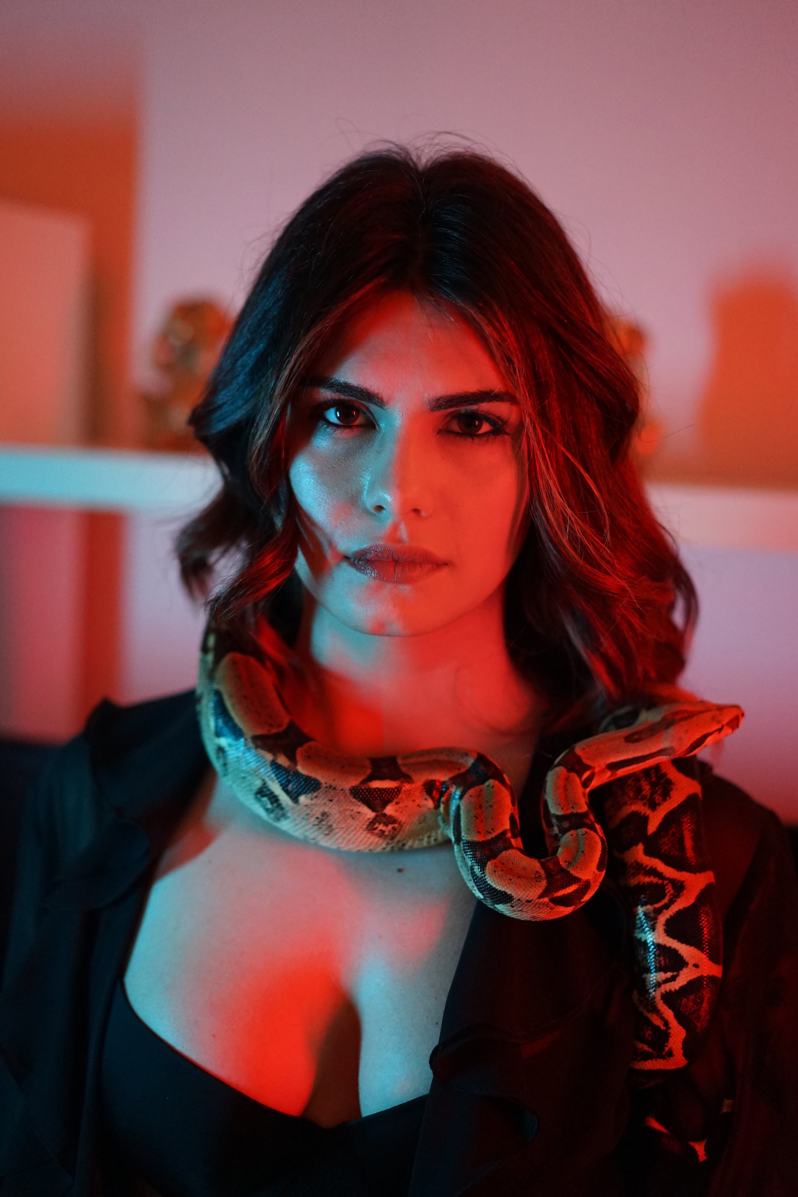 Автор: Паоло Конте