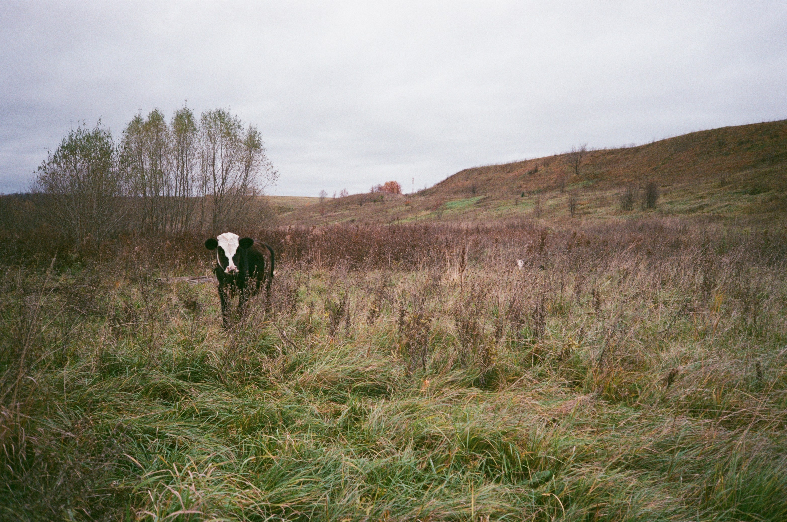 Автор: Анастасия Смирнова