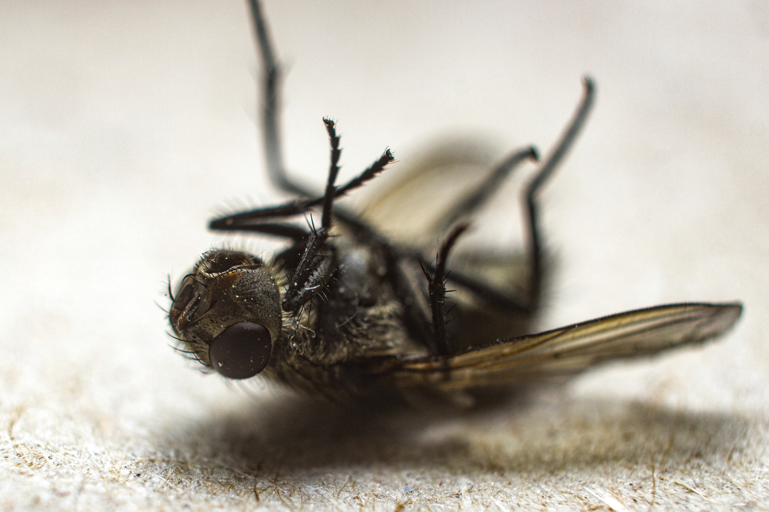 Автор: Георгий Куликов