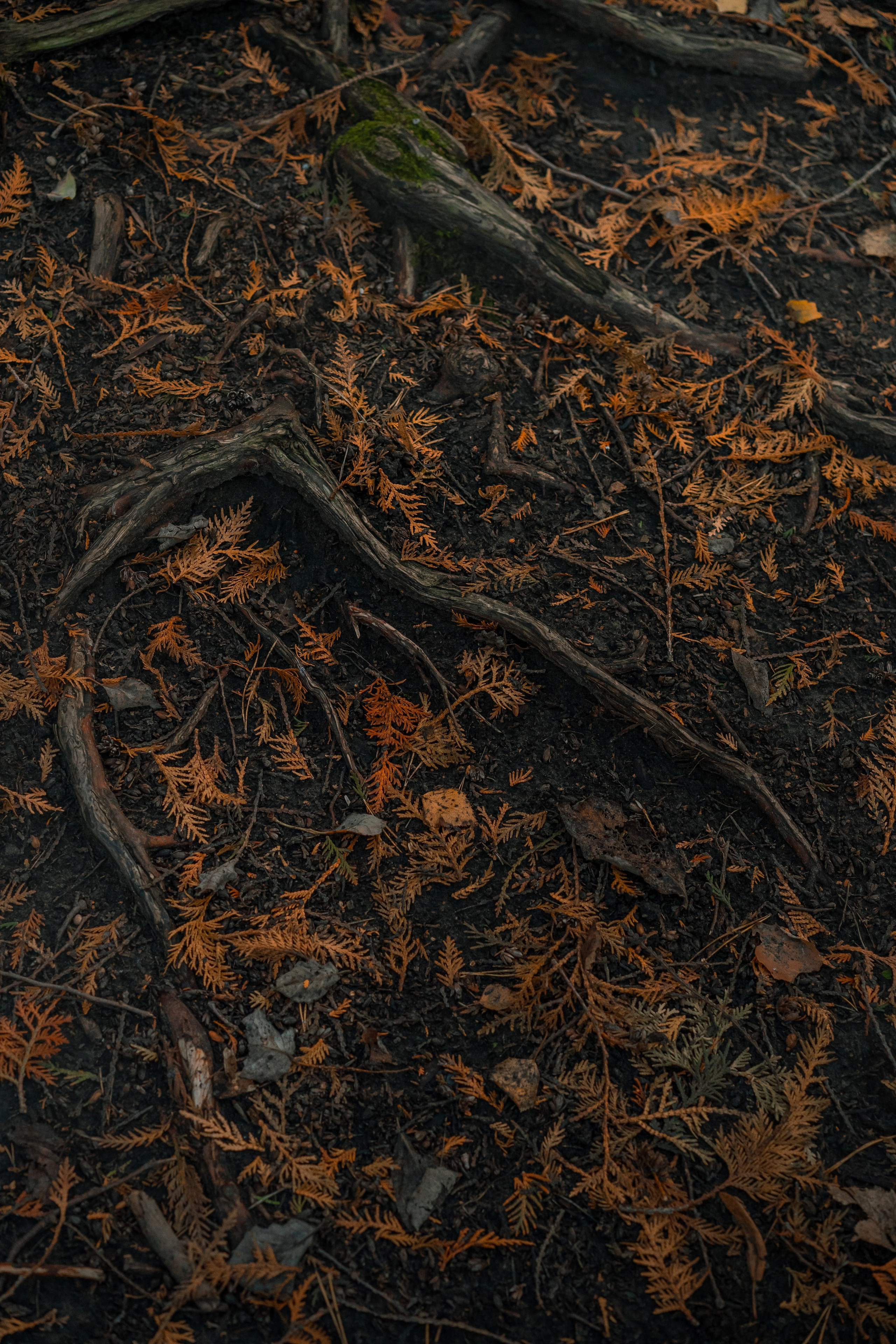 Извилистые терренкуры. Юля Дэй • Фотограф, Санкт-Петербург