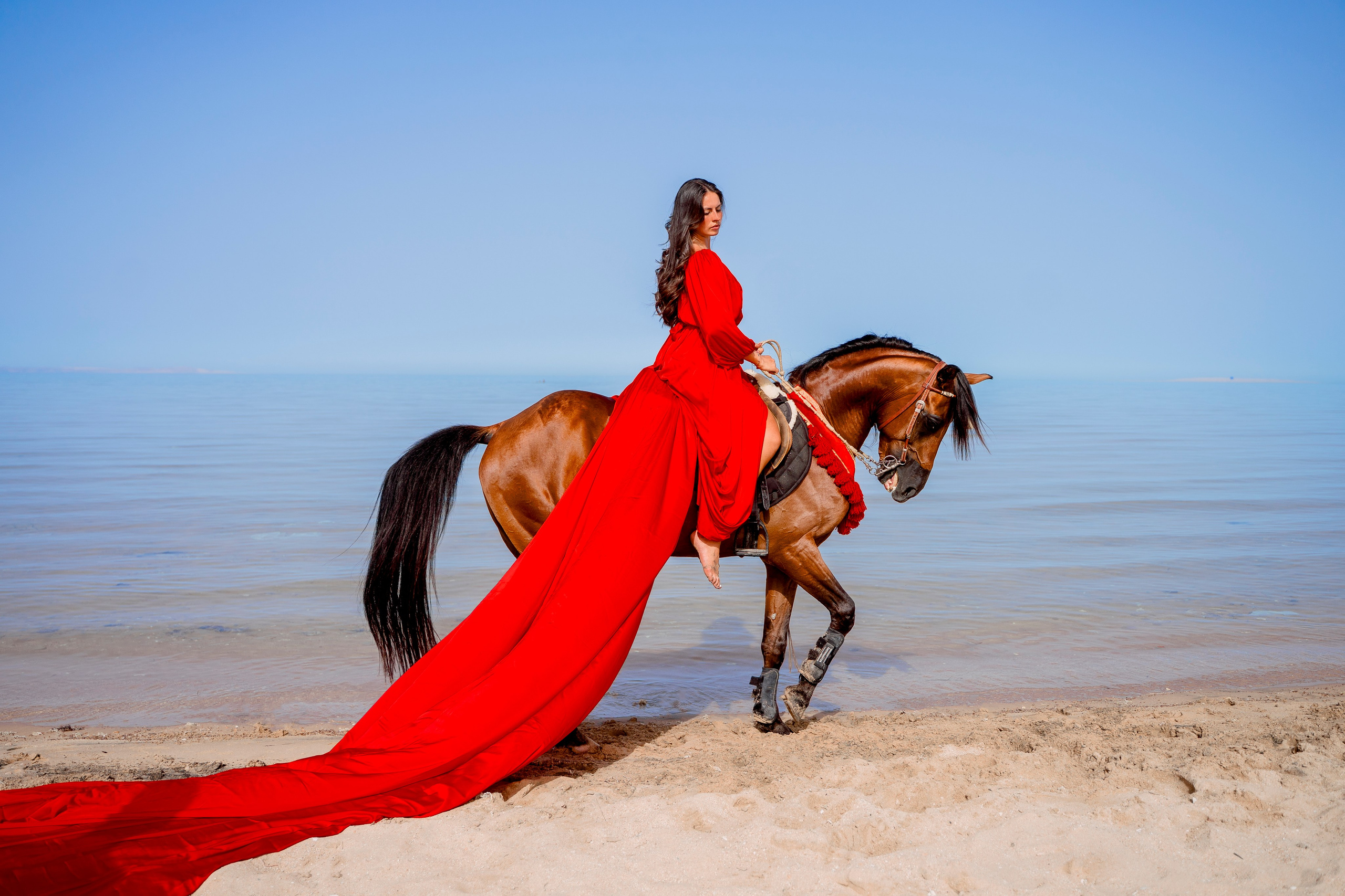 Фотосессия с лошадью на море. Photographer in Egypt, Hurghada, Luxor, Safaga