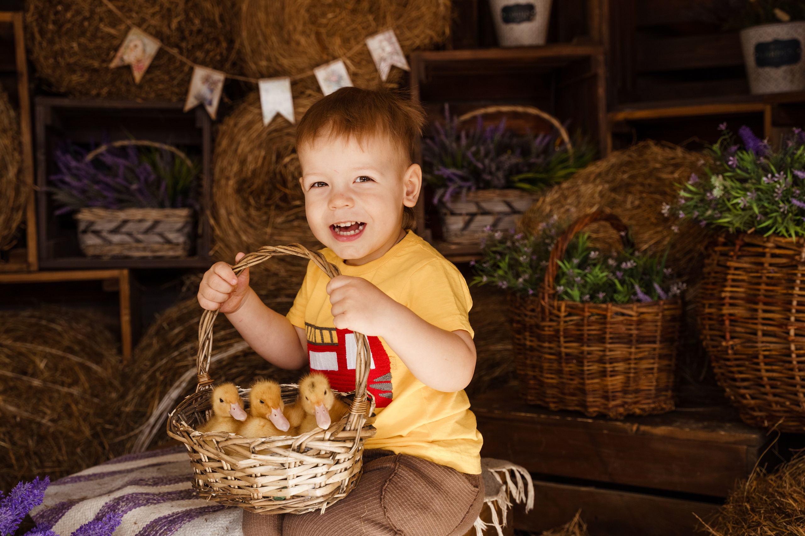 Фотосессия с утятами в студии