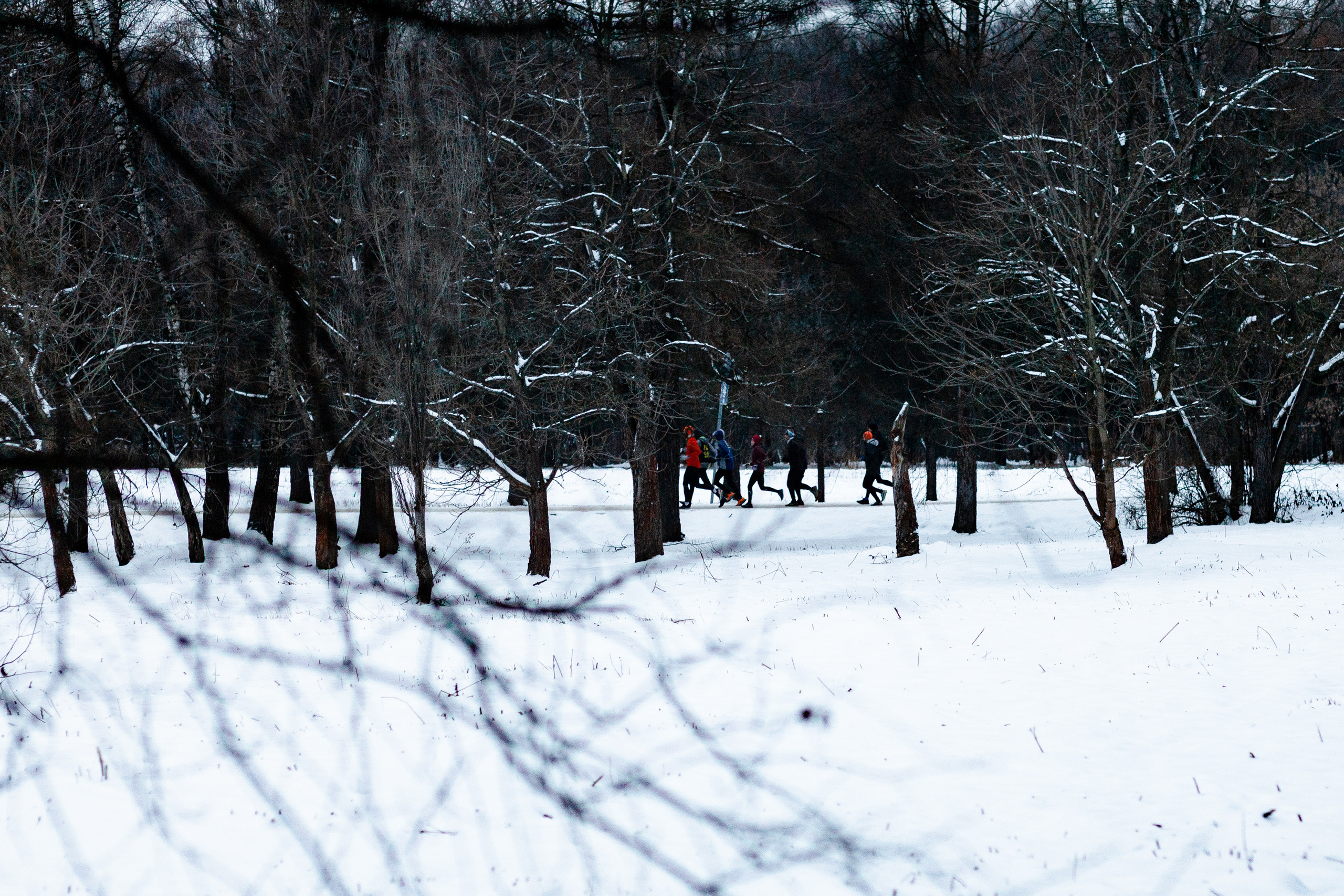 Воскресная длительная IzMyLong (27.11.2022). Павел Шарапов | Фотограф | Москва