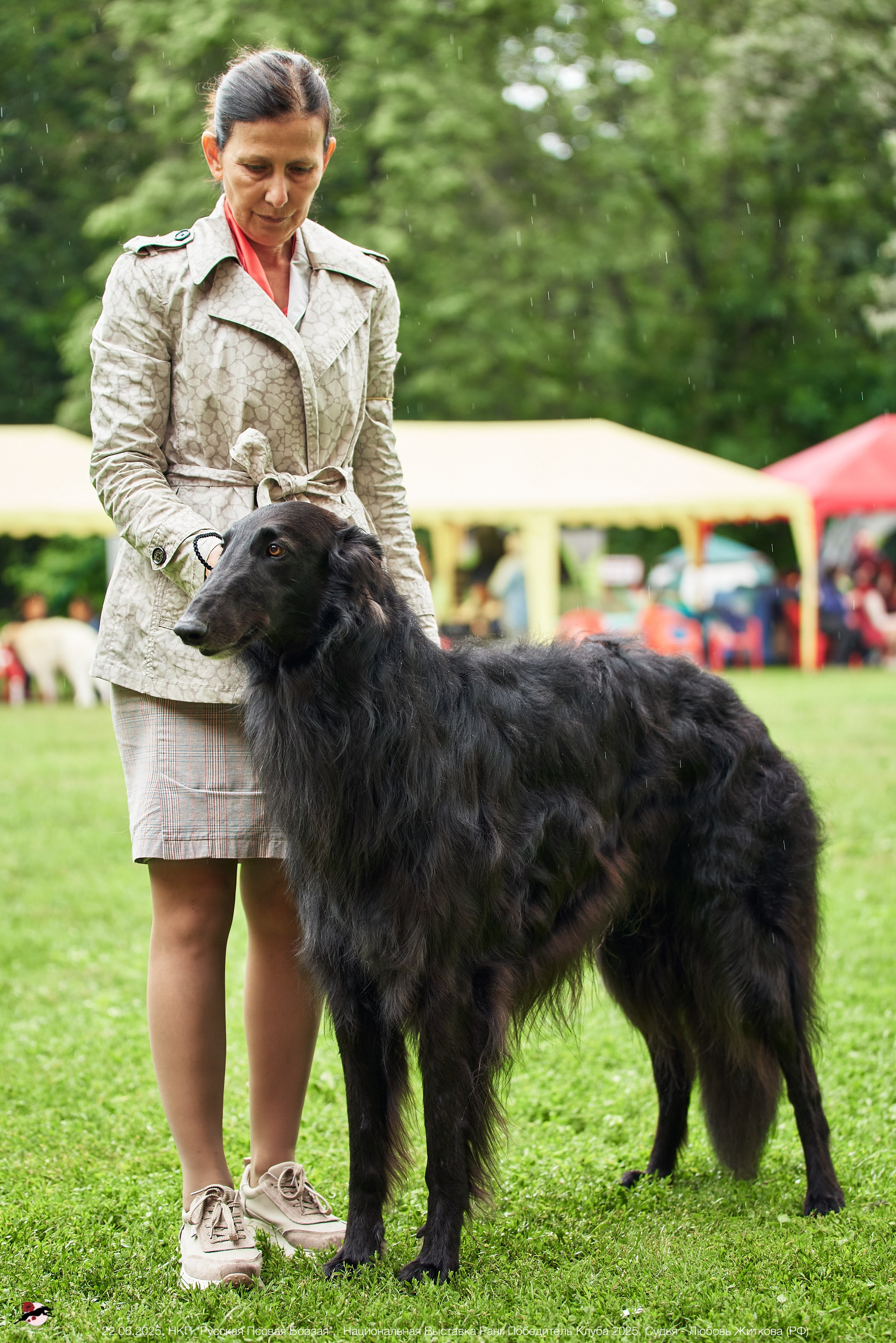 22.06.2025 | Национальная Выставка НКП "Русская Псовая Борзая"