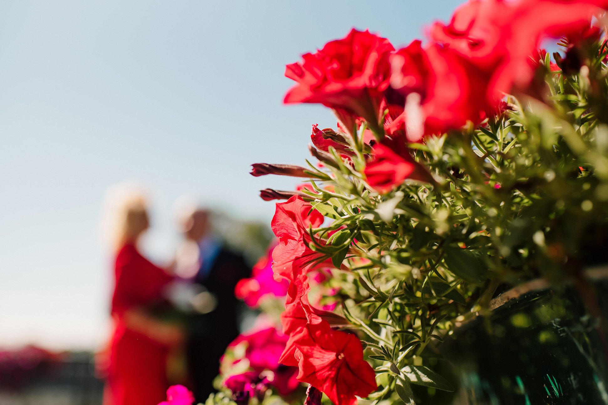 Татьяна и Михаил. Сестрорецк. Семейный и Свадебный фотограф. Санкт-Петербург. Пушкин