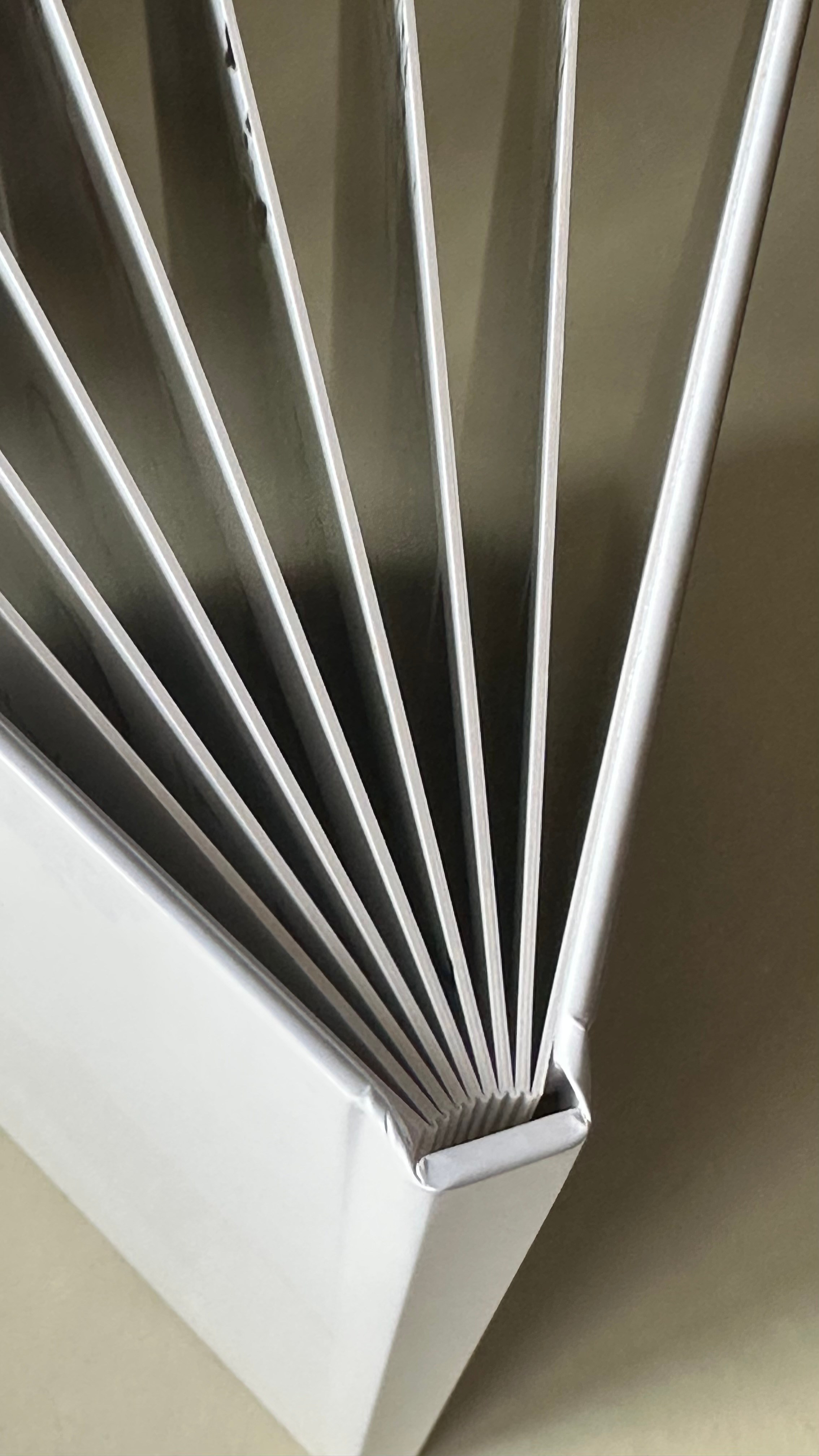 9 -11 кл. Фотограф г. Пенза — Светлана Зойкина