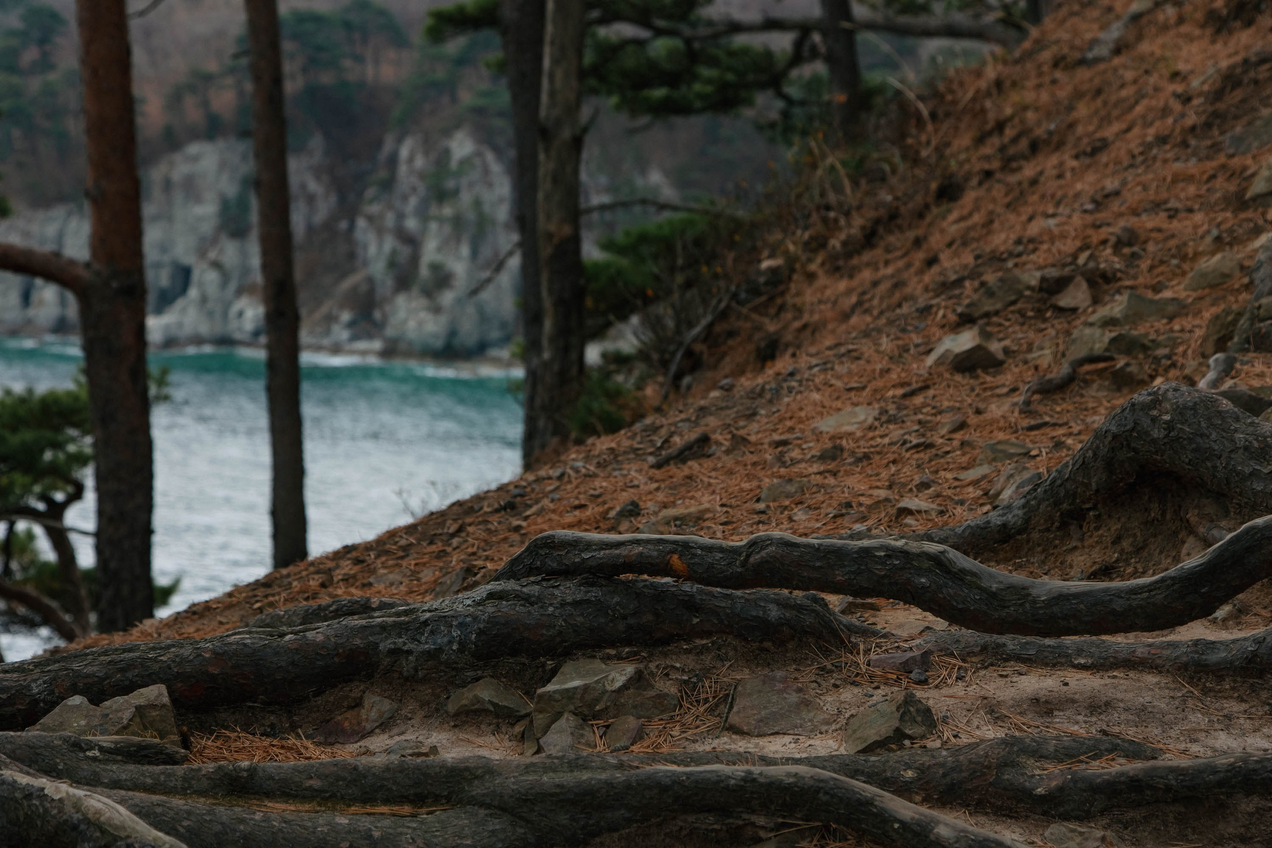 Пока не застроили. Evgeniya Kokurina