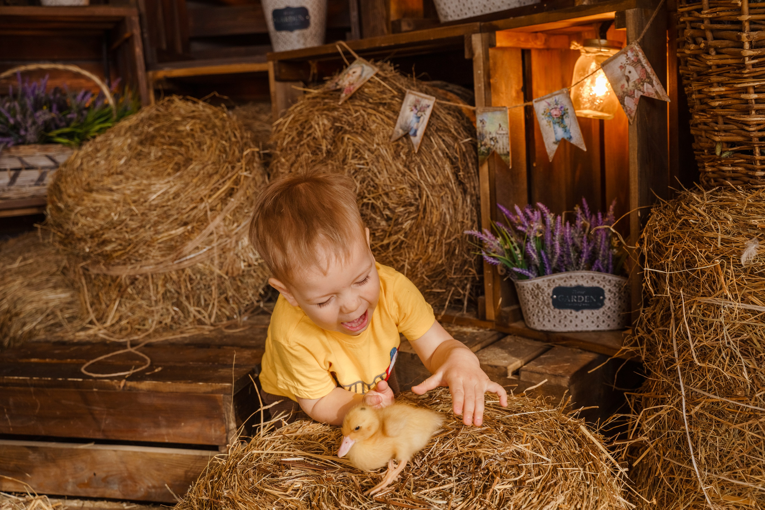 Фотосессия с утятами в студии