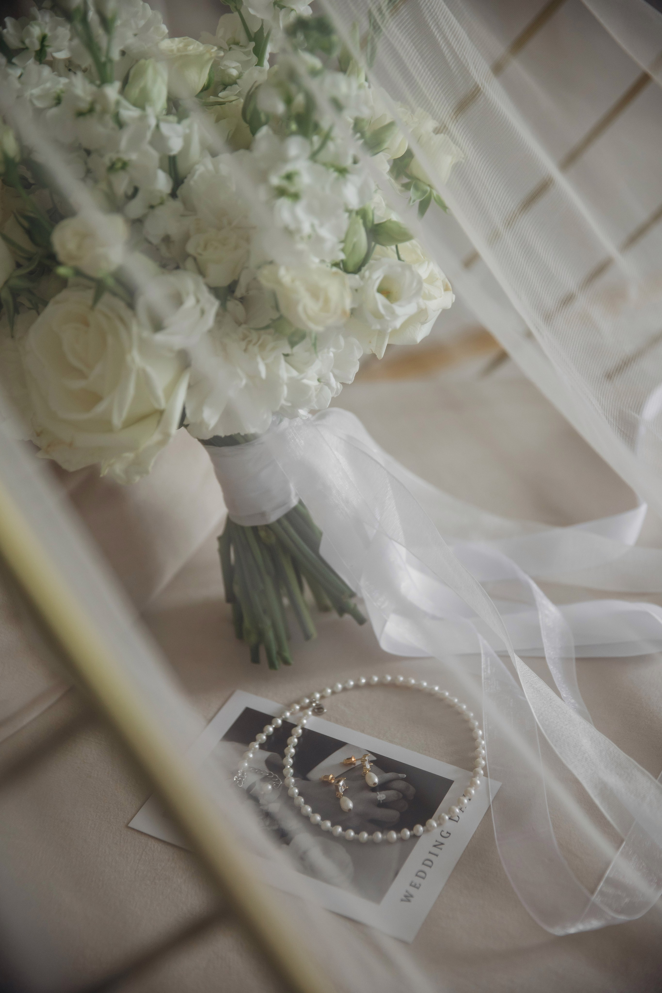 Моя съемочная команда профессионалов