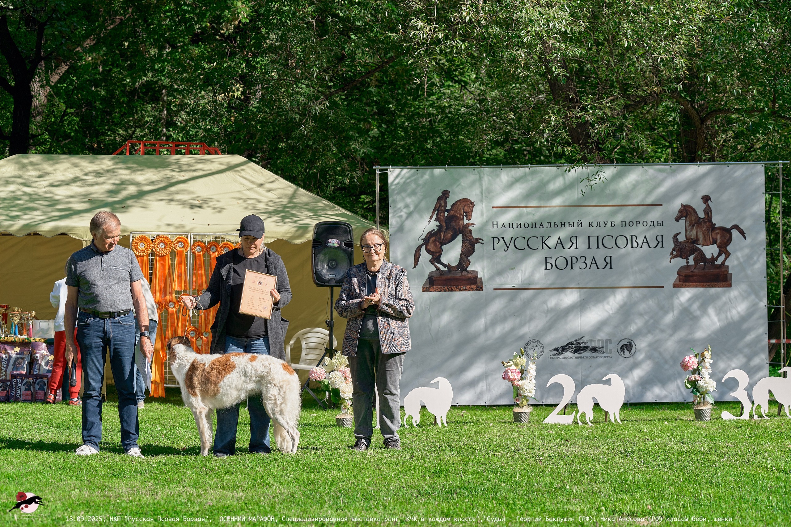 ОСЕННИЙ МАРАФОН | Специализированная выставка породы Русская Псовая Борзая ранг "КЧК в каждом классе"