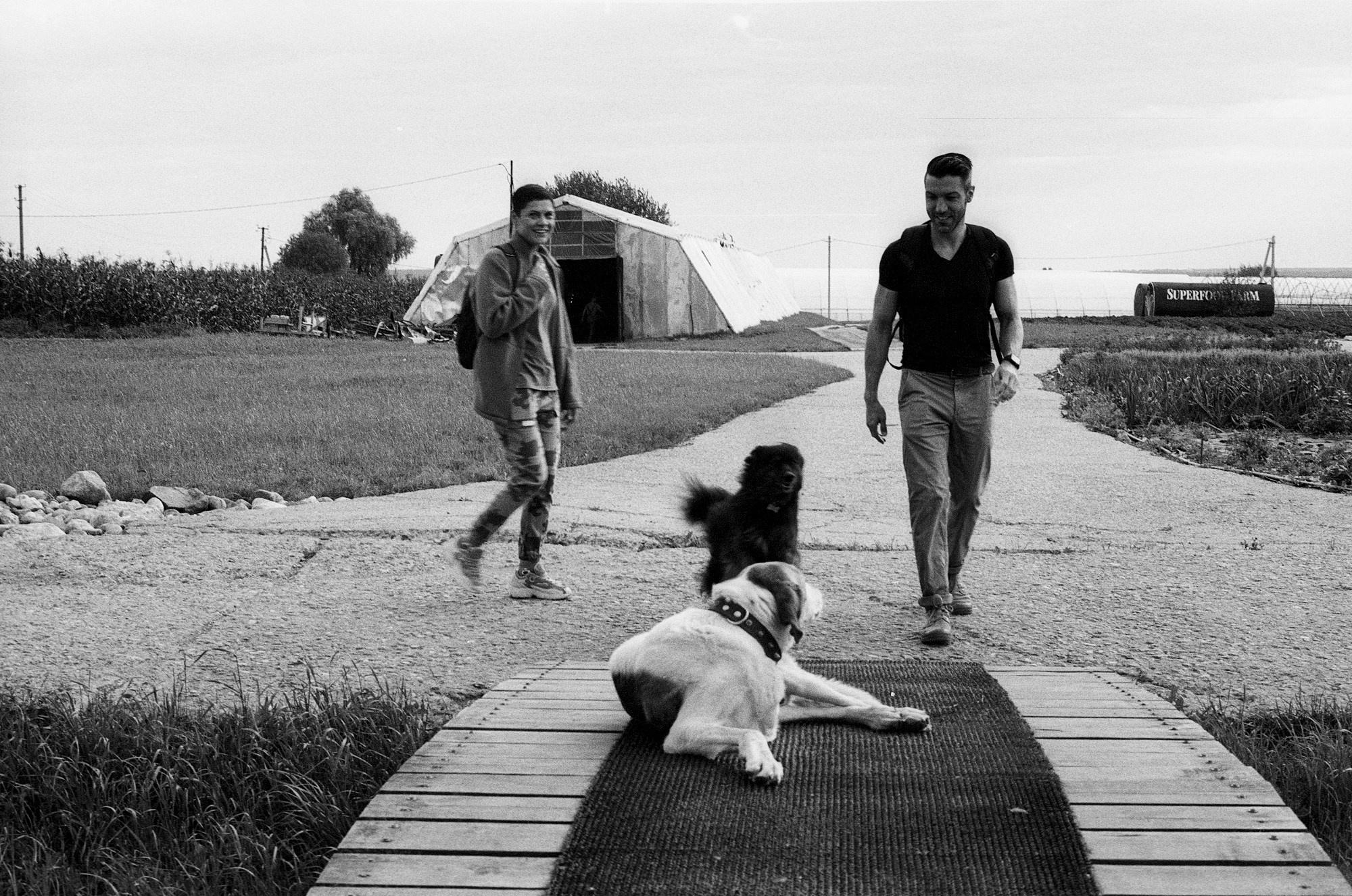 SuperFoodFarm. История фермы. Другой Павел Поцелуев. Фотограф в 2025 году