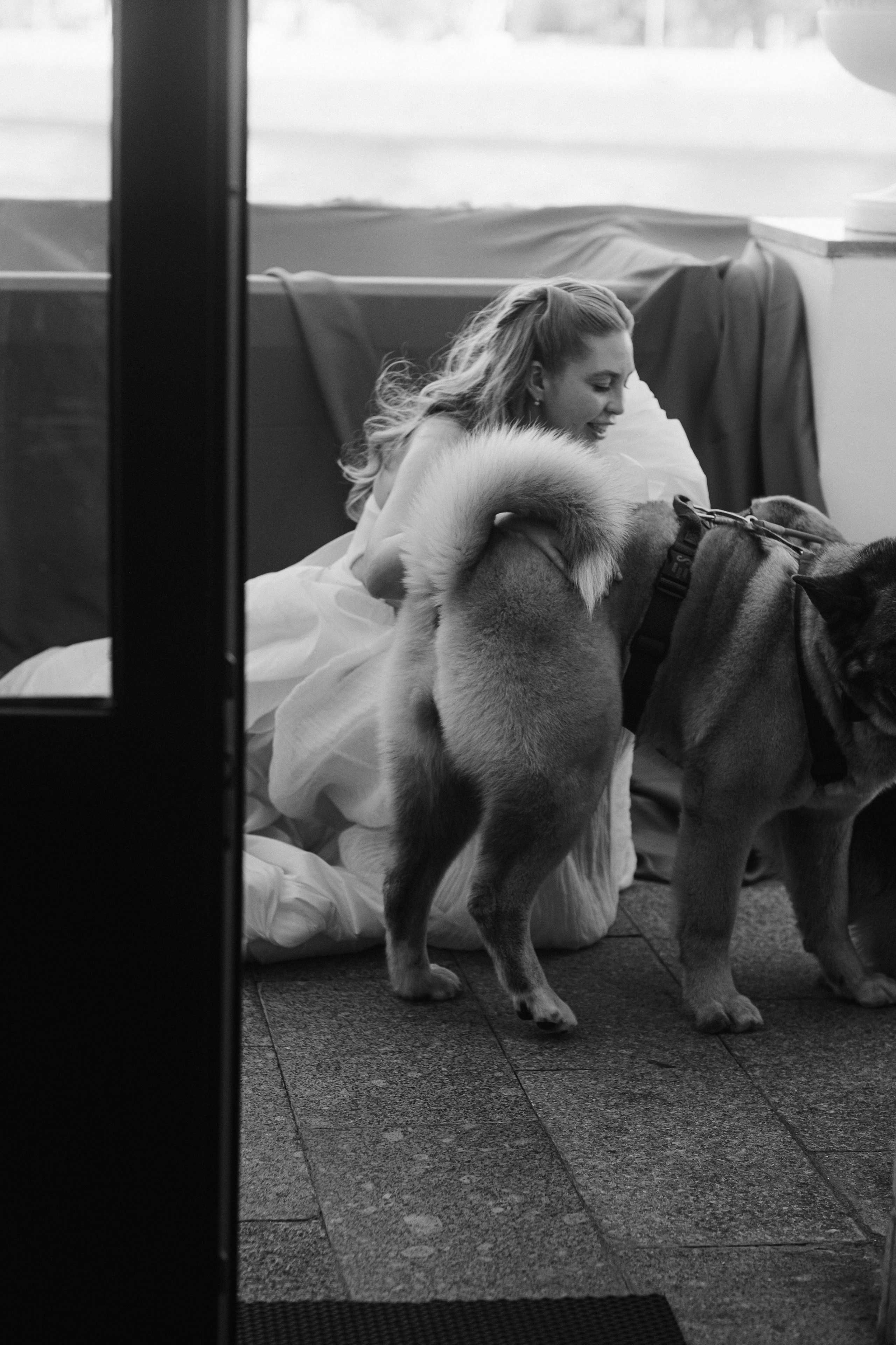 Love&Paws. Сентиментальная свадебная фотография