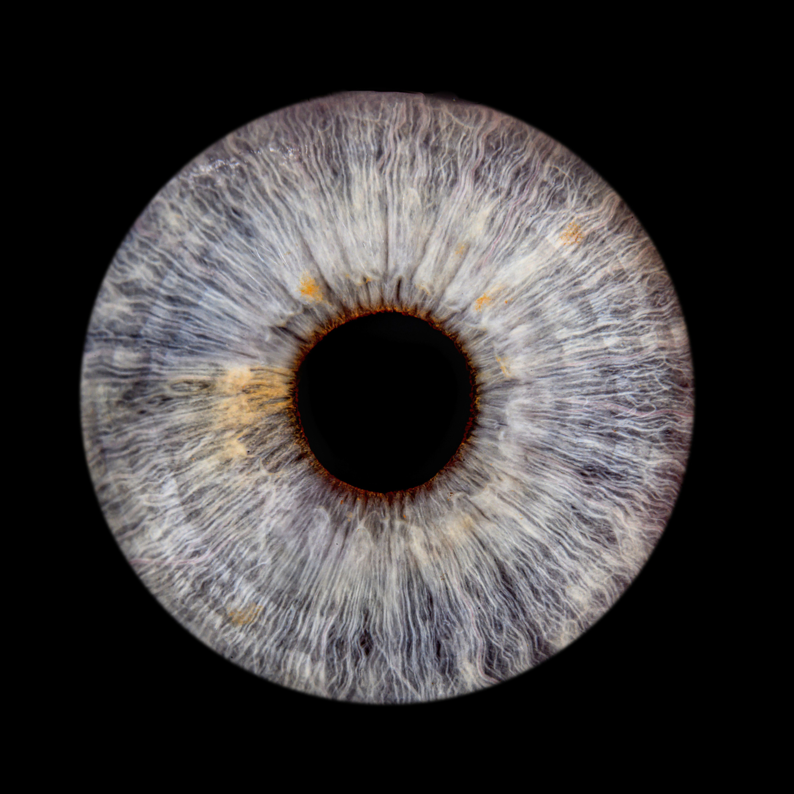 Лучшая фотография радужки глаза в Ростове. Профессиональная фотосъемка. Ростов-на-Дону