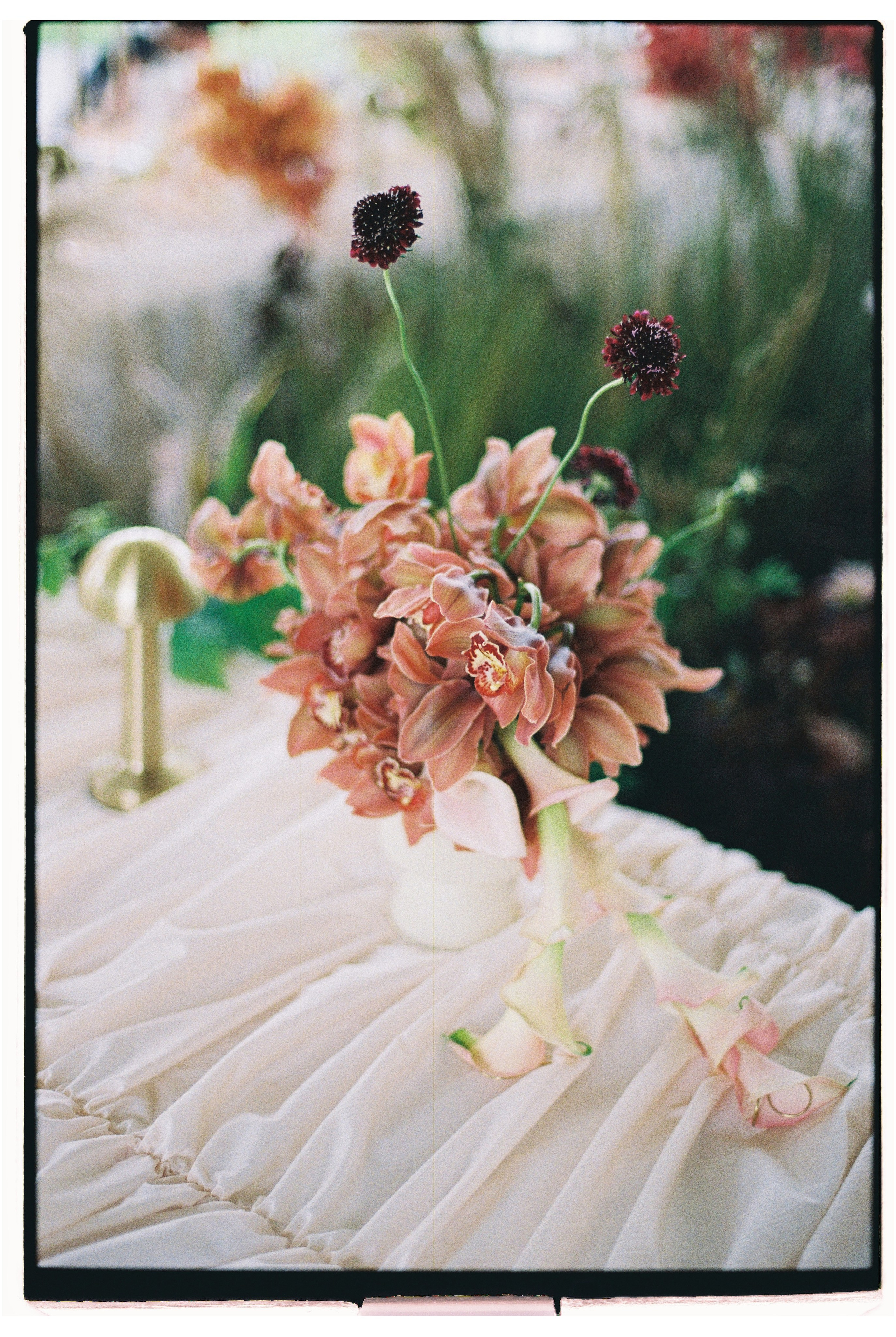 Фотограф Елена Маринина Москва