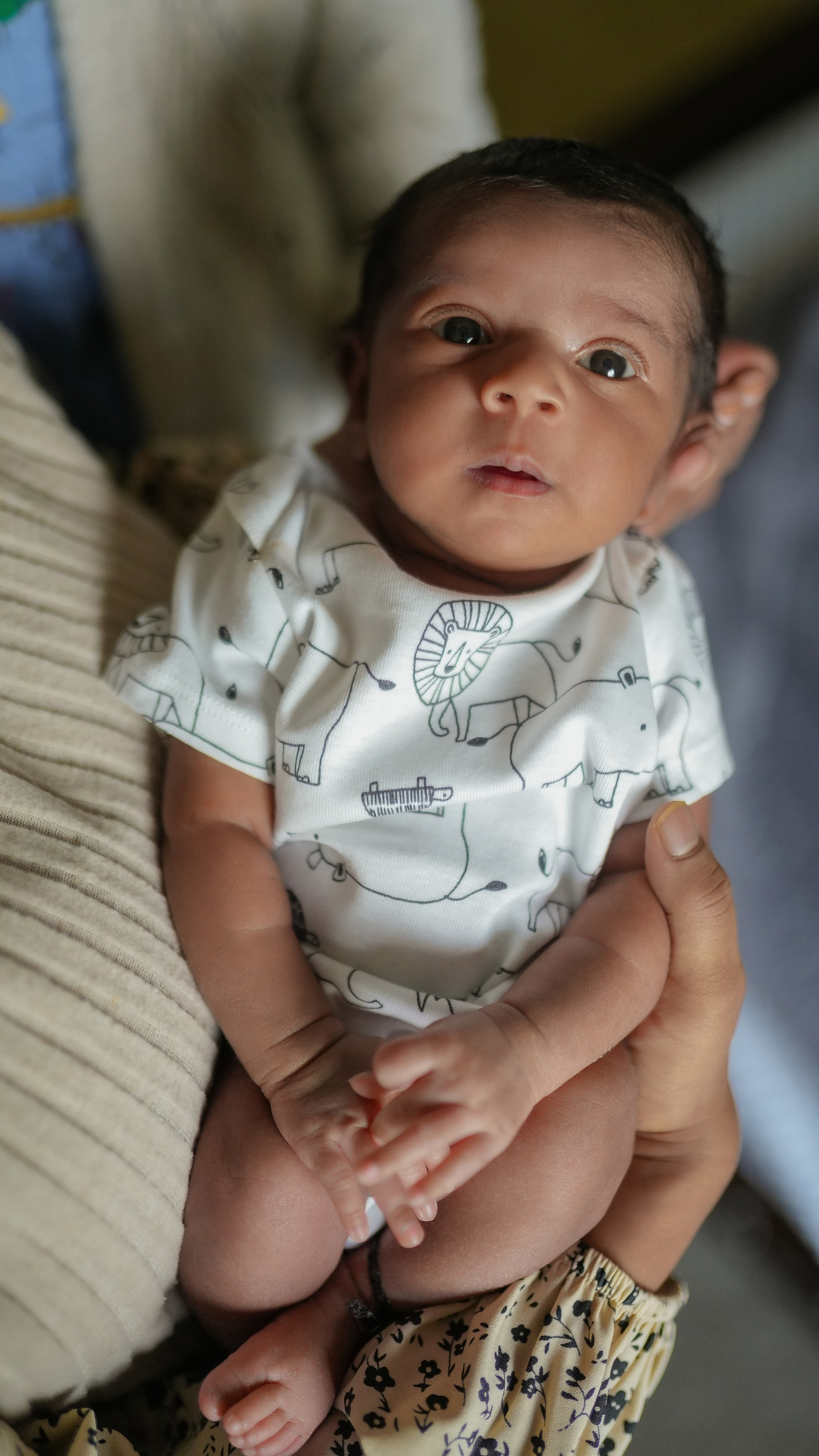 Heartfelt family memories — cozy newborn session