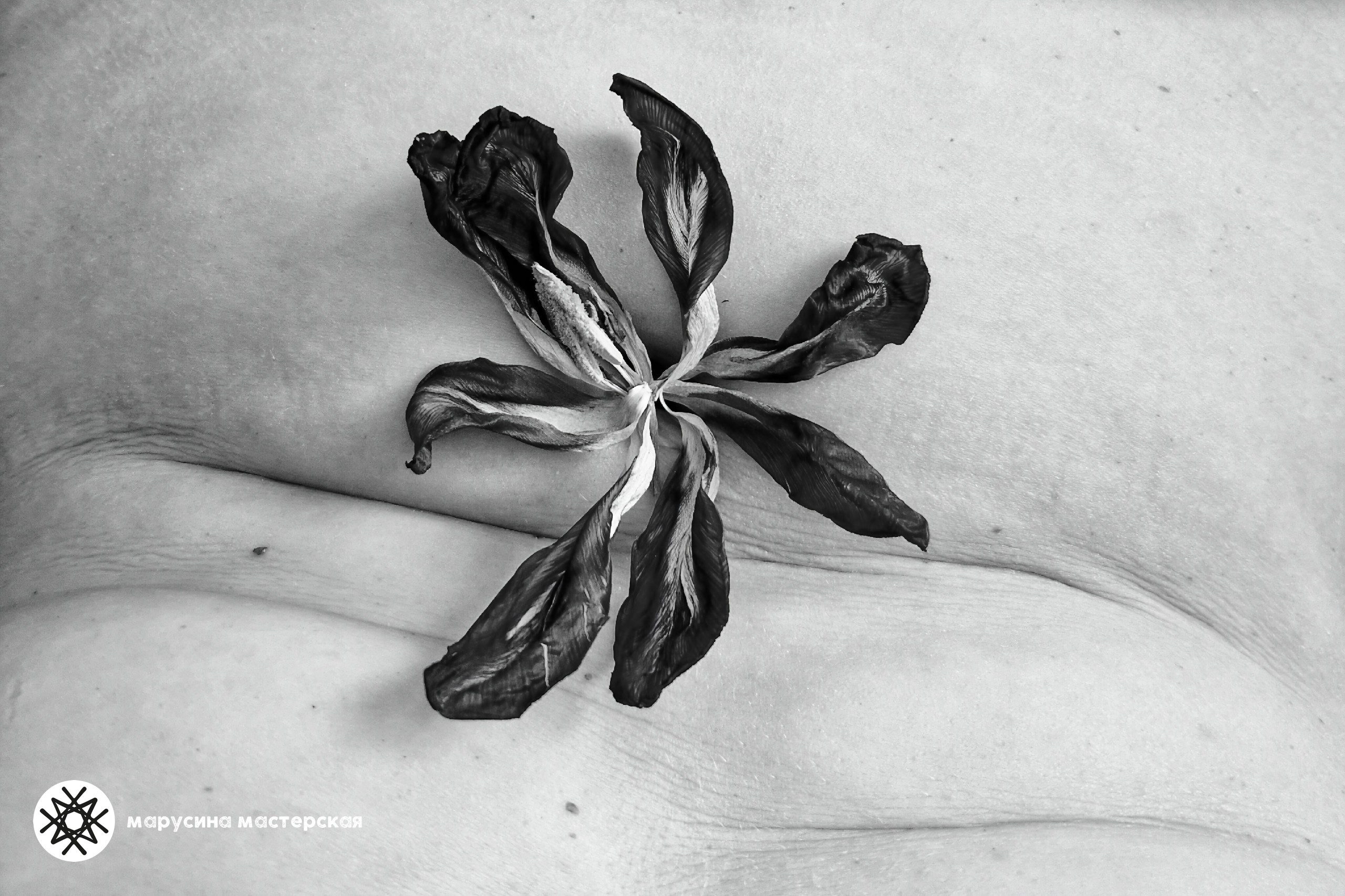 Авторская фотография участницы практикума «Метафорическая фотография» — Ольга Ревина