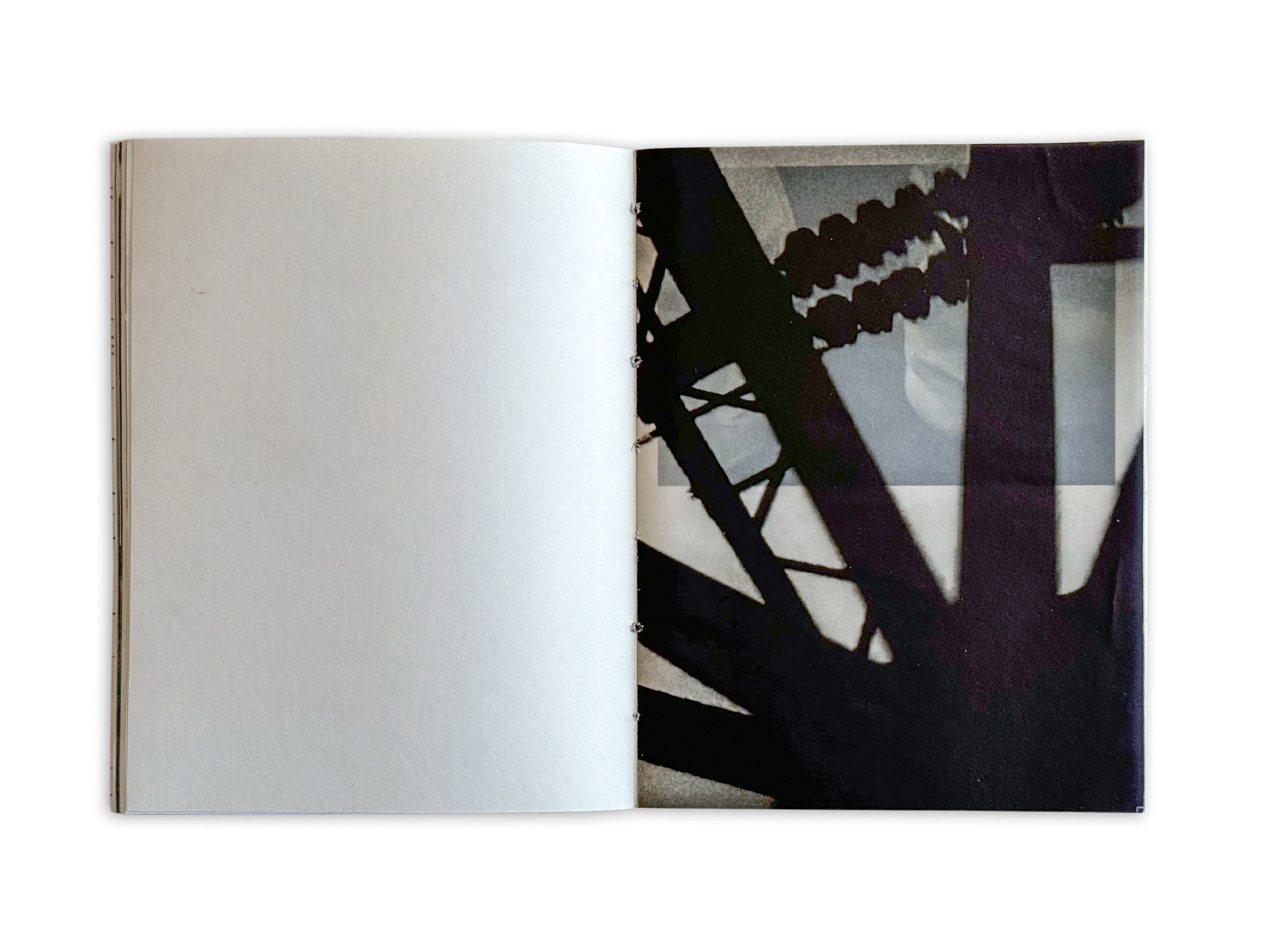 Цветок на камне. Лера Круглова