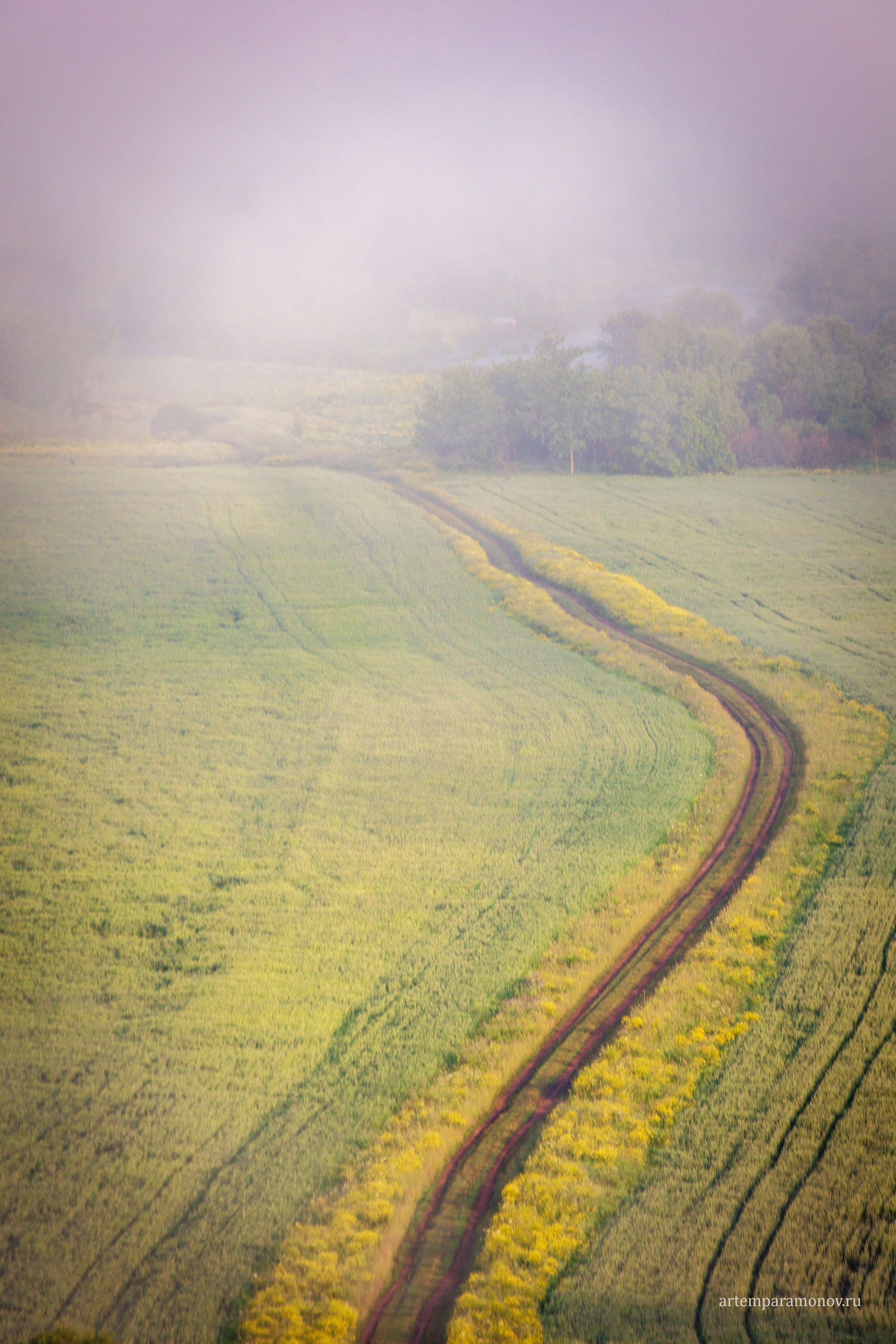 Магия утра близ Анастасова монастыря. Фотохудожник Артём Парамонов