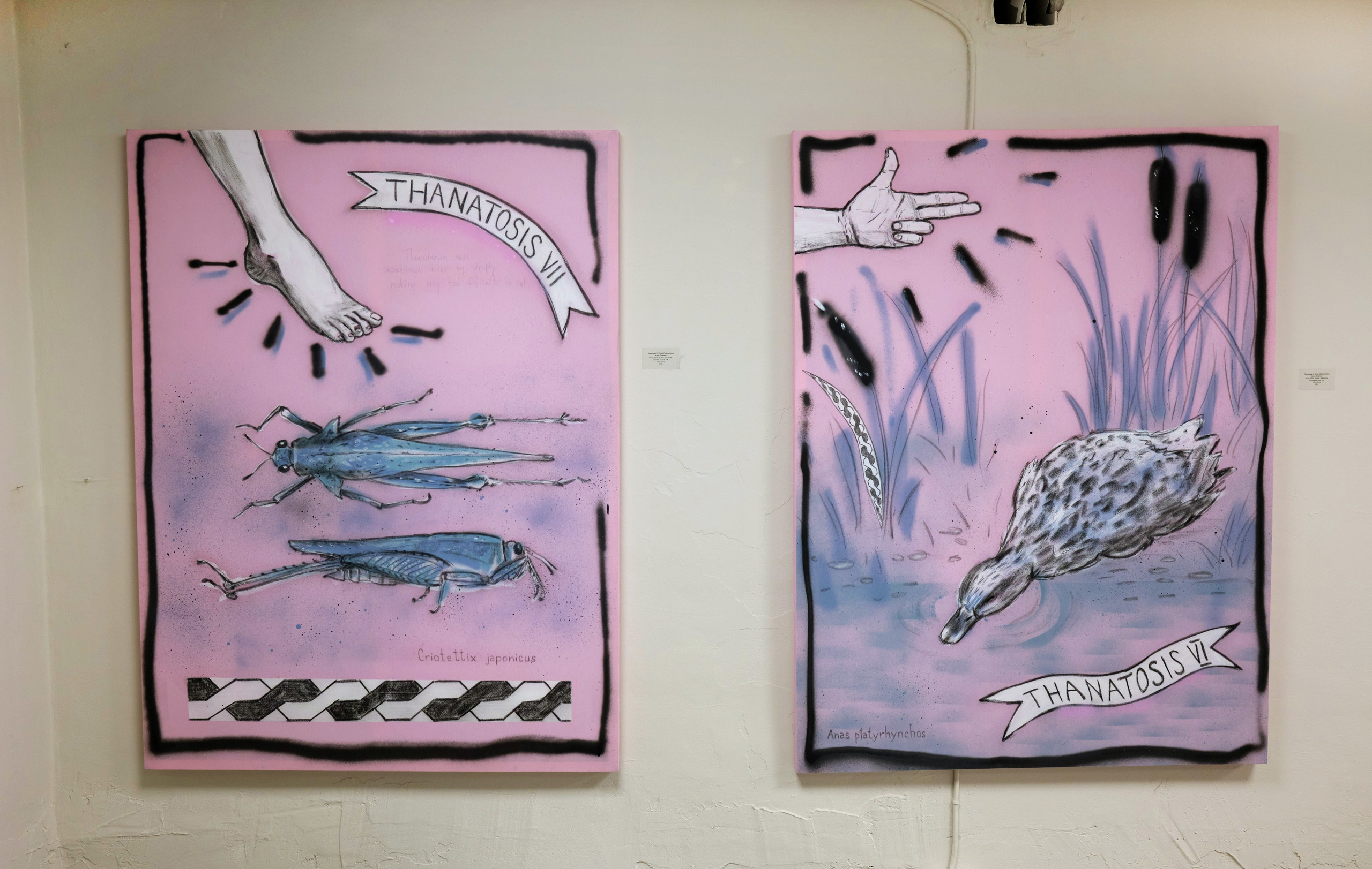 Thanatosis. Artist Anna Snegina Художница Анна Снегина