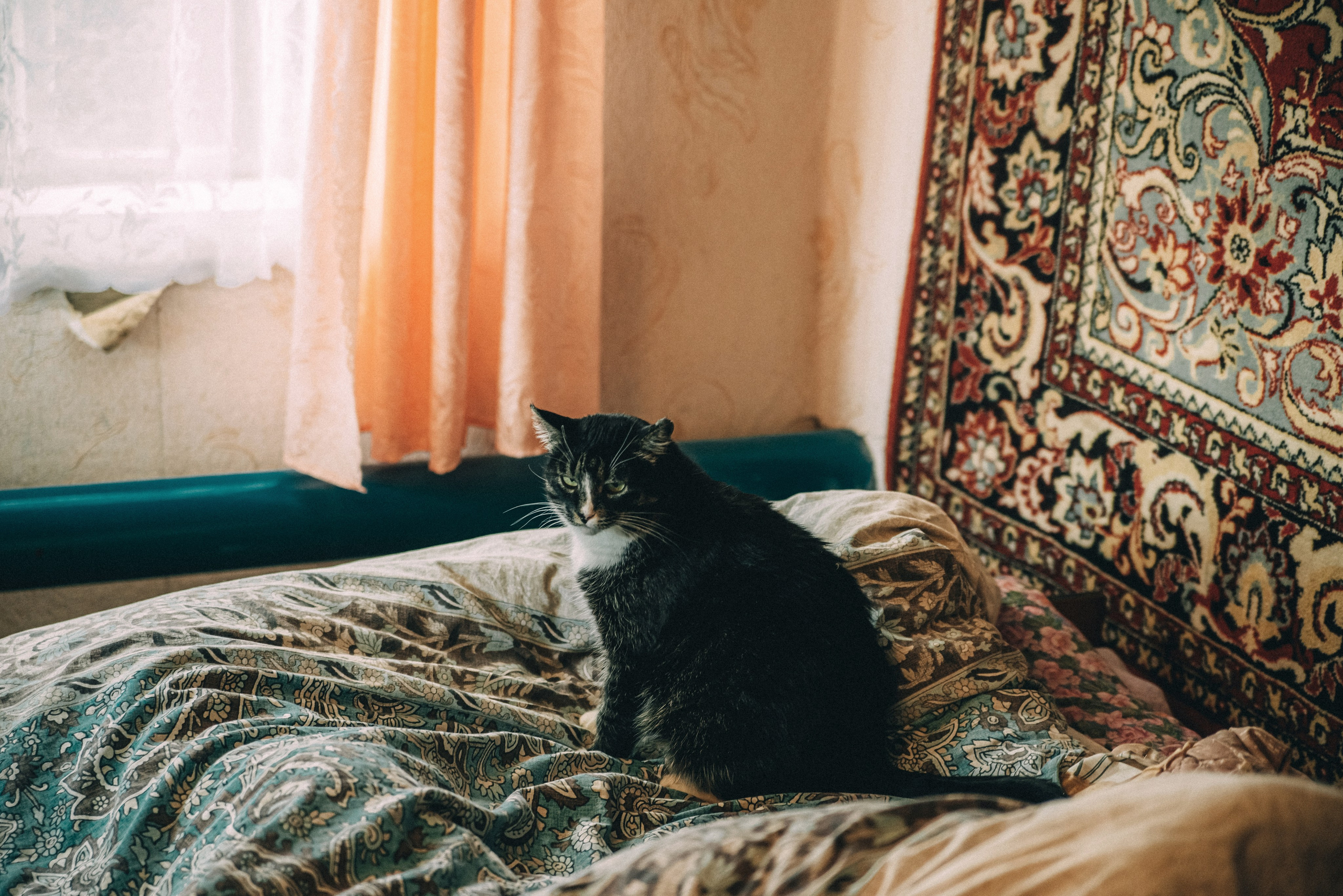 XIII Автопробег 2023 «Ветеранам глубинки — заботу и внимание» (маршрут № 3). Фотограф в Самаре Елена Фомина