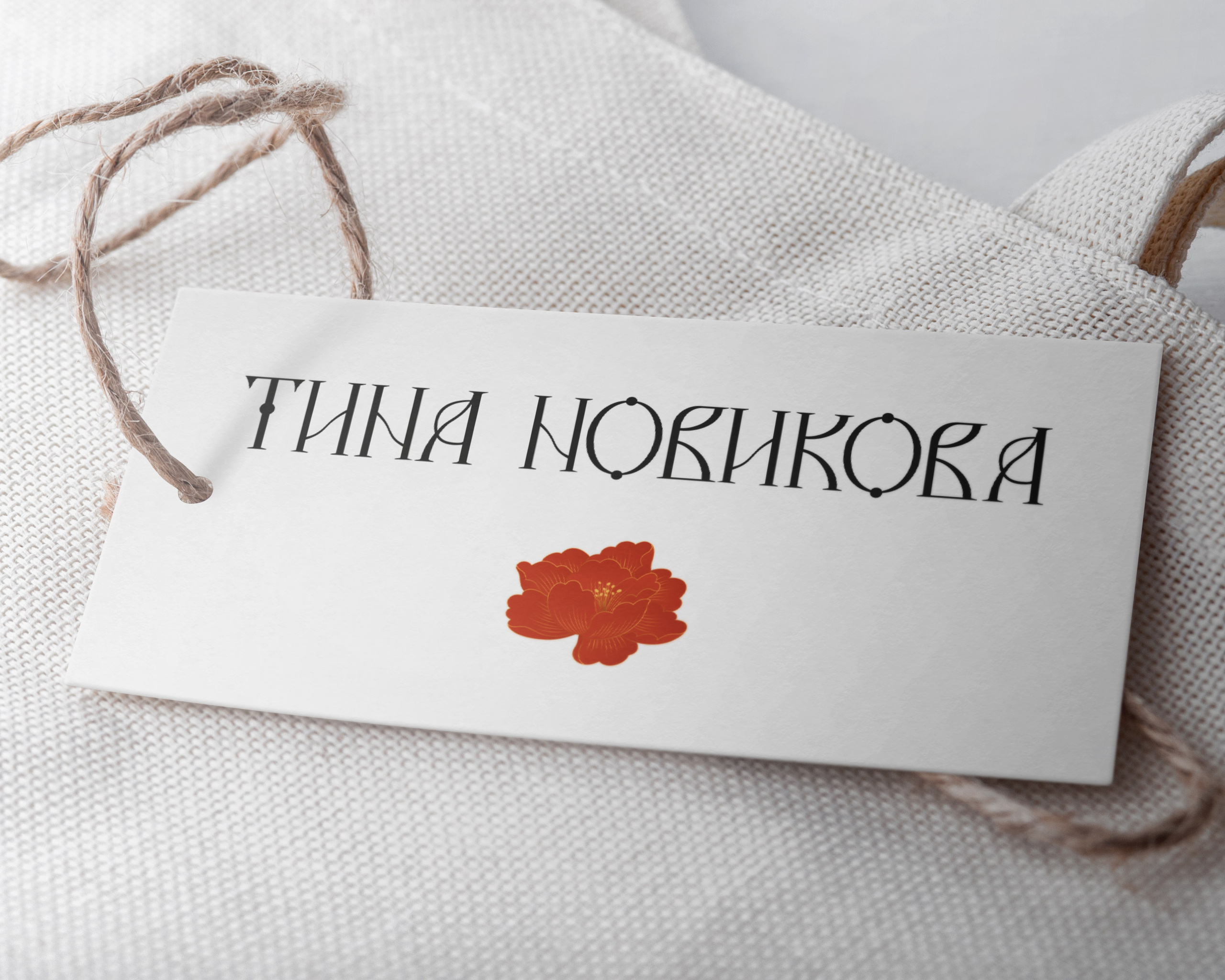 Разработка фирменного стиля для бренда одежды ТИНА НОВИКОВА. Алена Русских — фотограф и графический дизайнер в Ростове-на-дону