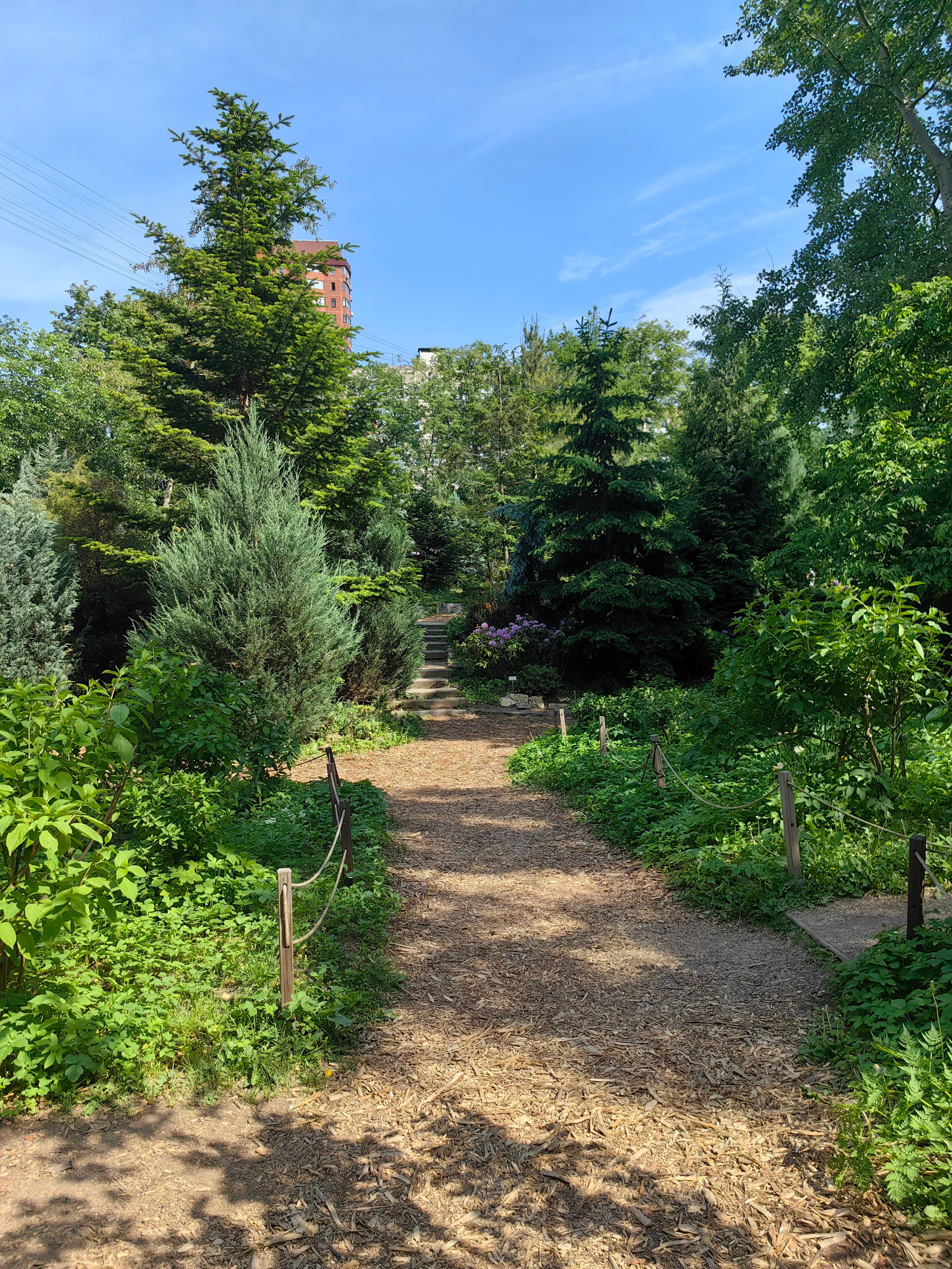 Парк АПТЕКАРСКИЙ ОГОРОД обзор. Фотограф в Москве и Московской области (Ю-В) Олеся Макарова