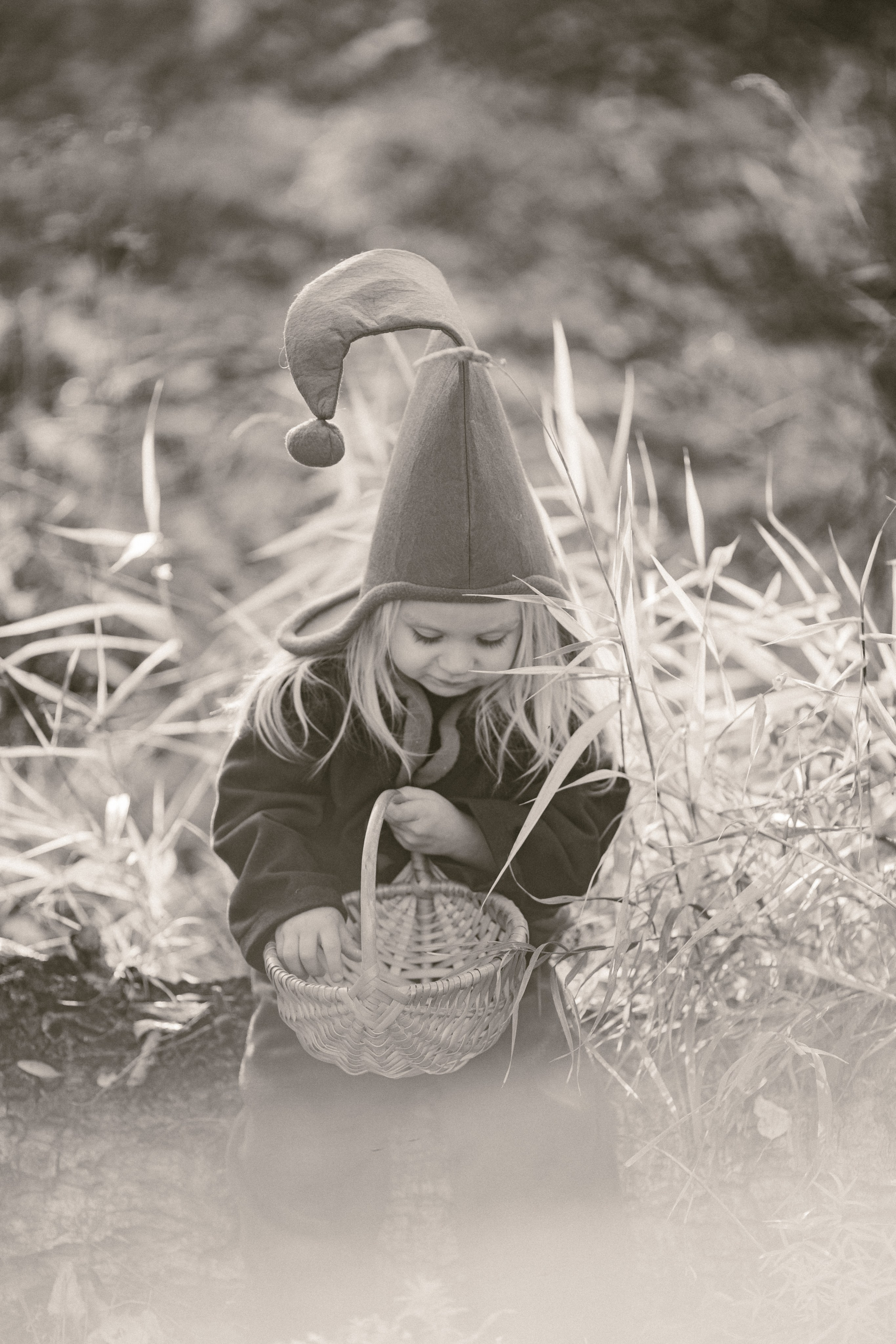 Лесные гномы