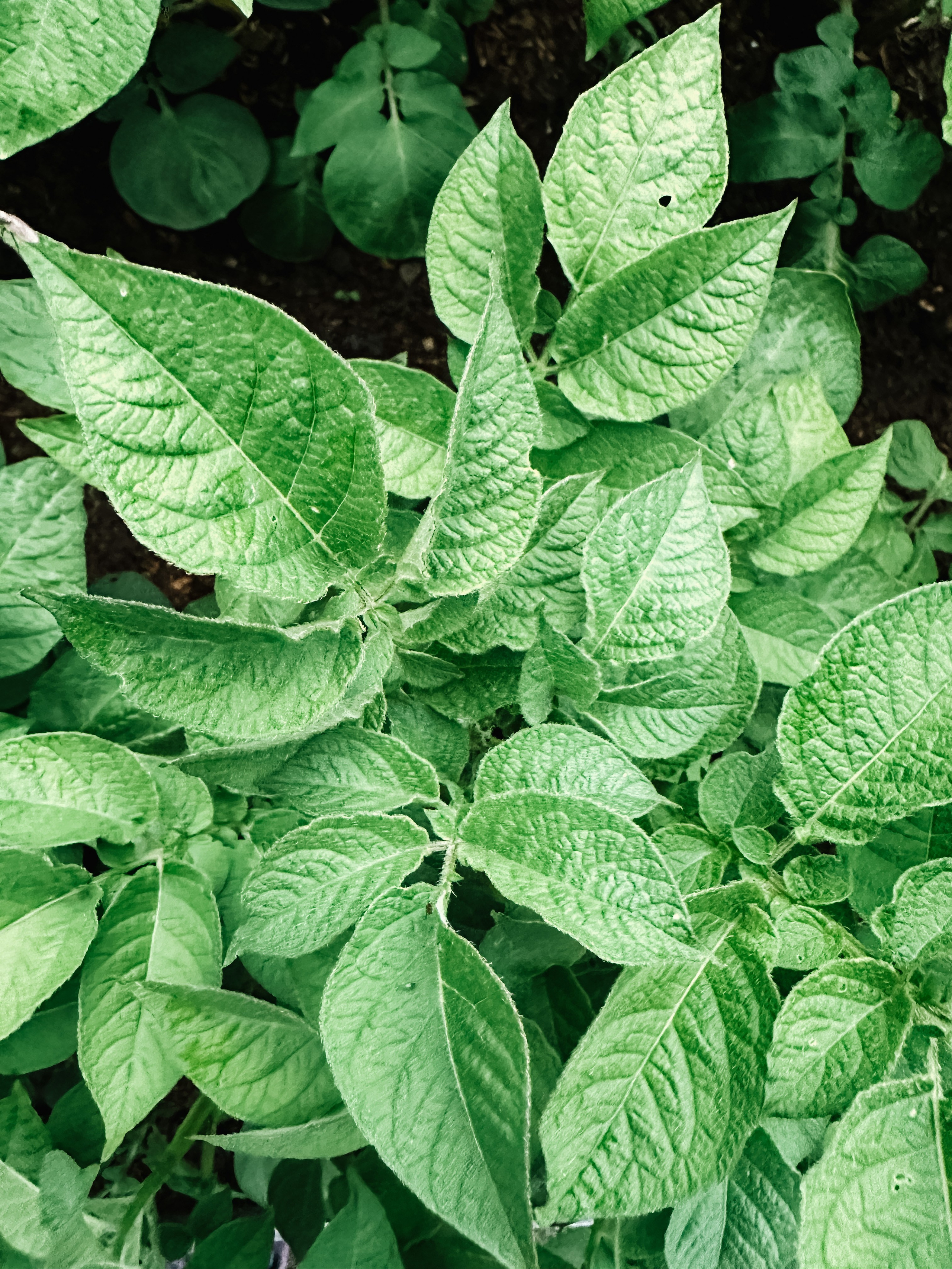 MODELS SCHOOL SRC MODELS. Фотограф в России, Семейный фотограф, репортажный фотограф, детский фотограф, портретный фотограф, контент фотограф, универсальный фотограф